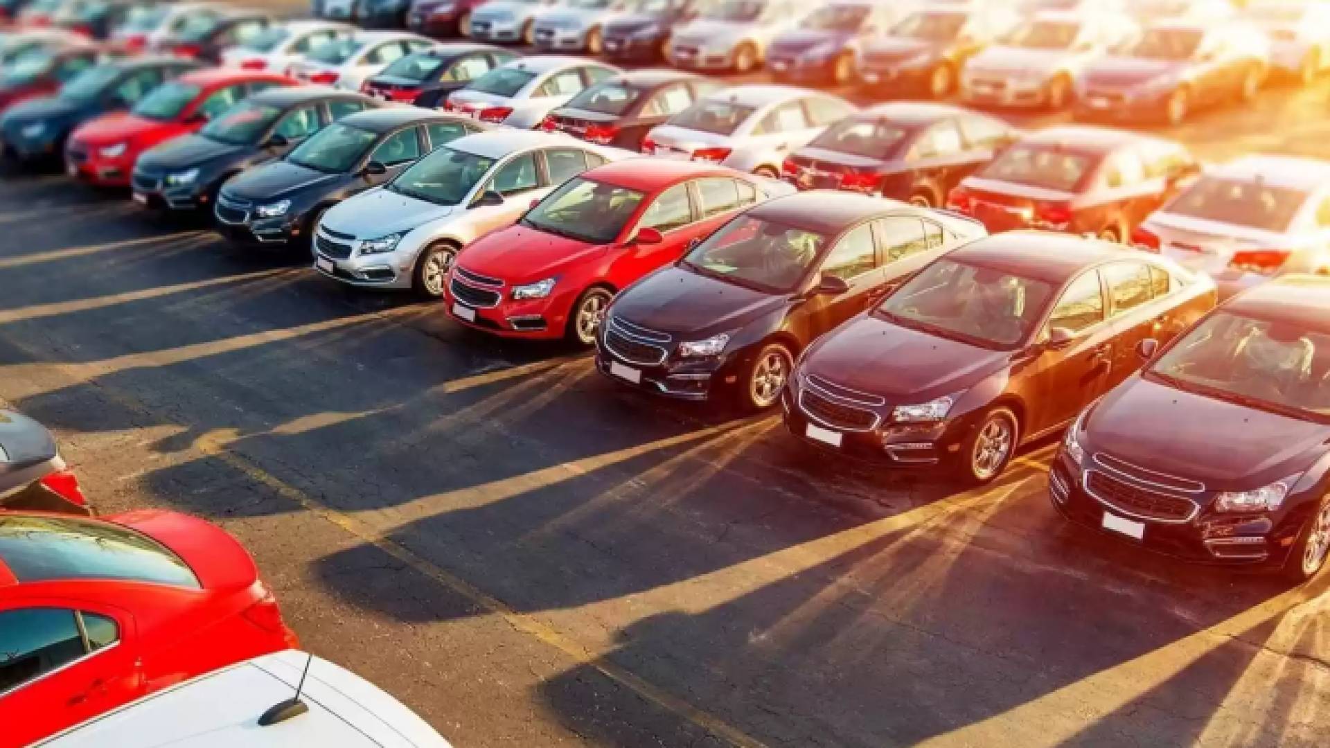 عدد من السيارت