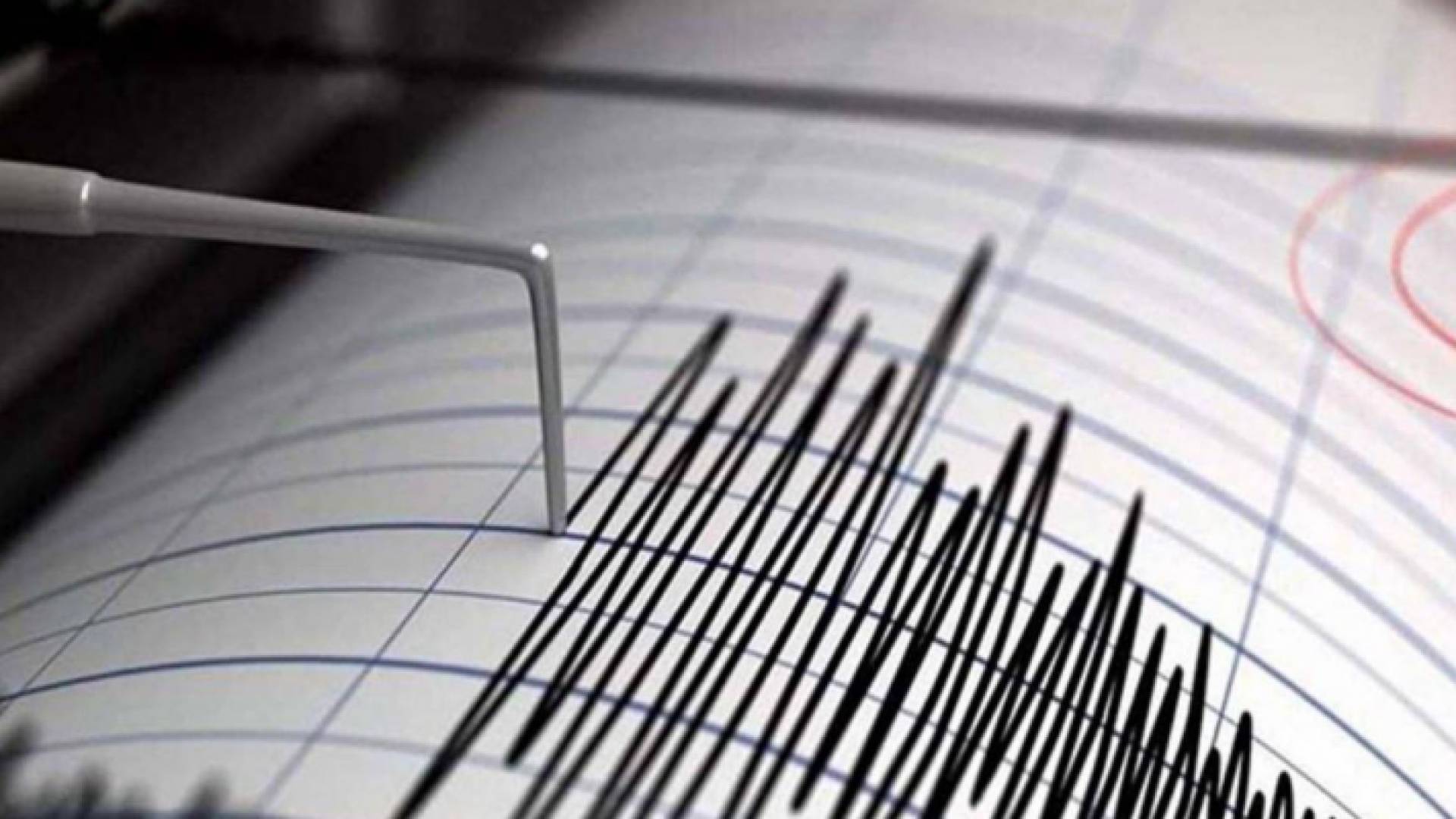 درجة قياس الزلازل