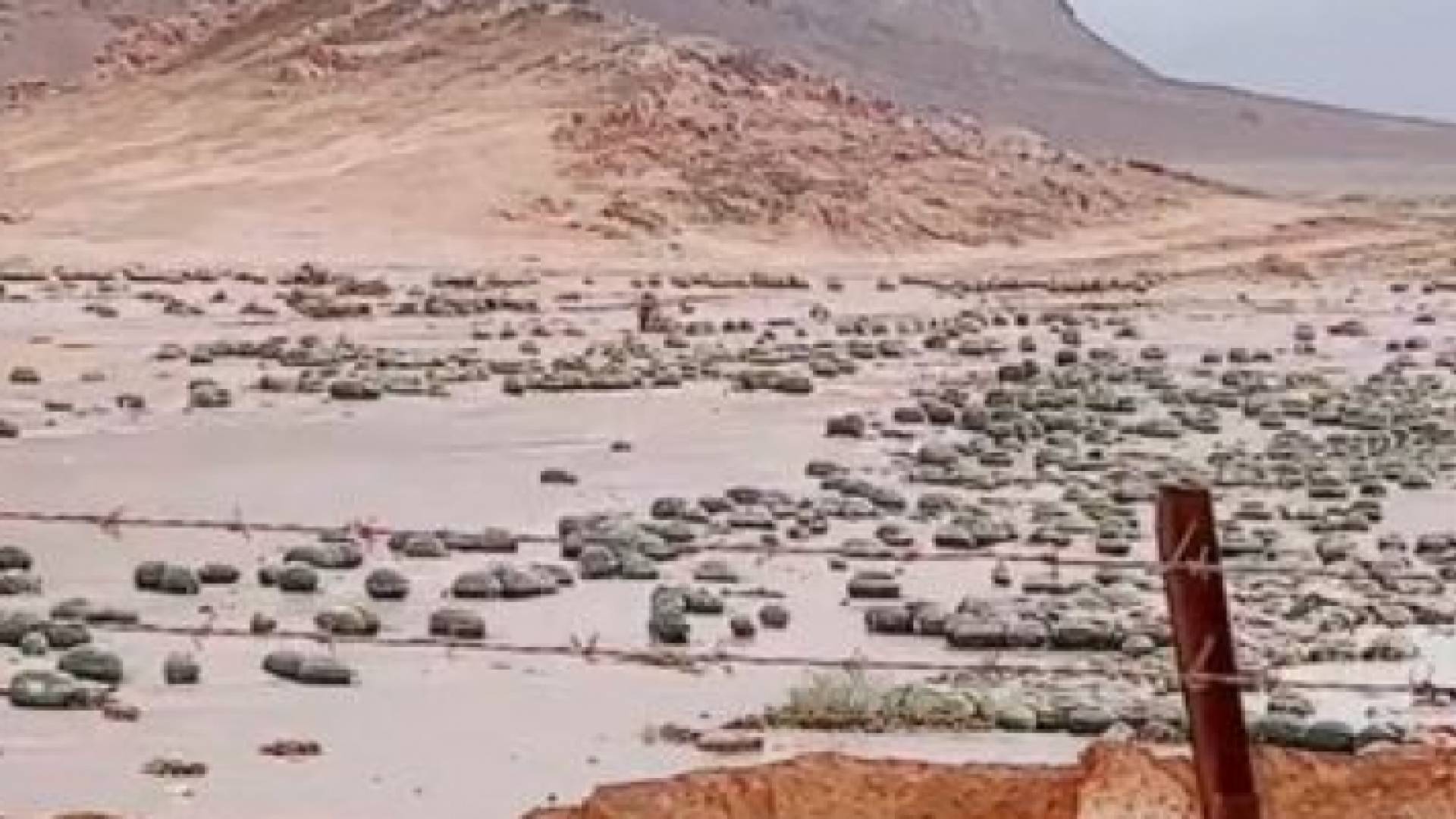 محاصيل زراعية دمرتها السيول الجارفة في العقبة