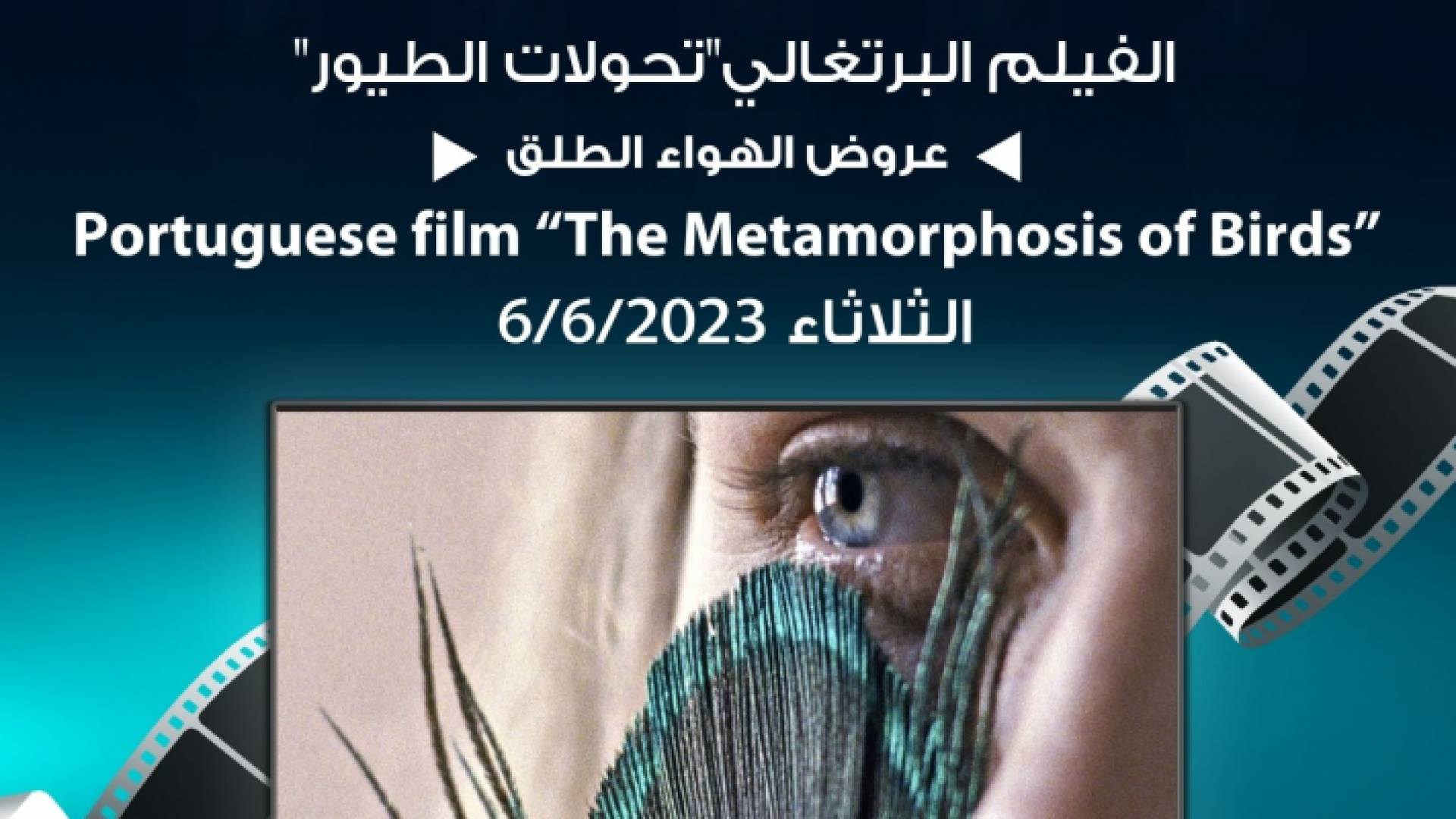 لجنة السينما في شومان" تعرض الفيلم البرتغالي " تحولات الطيور "