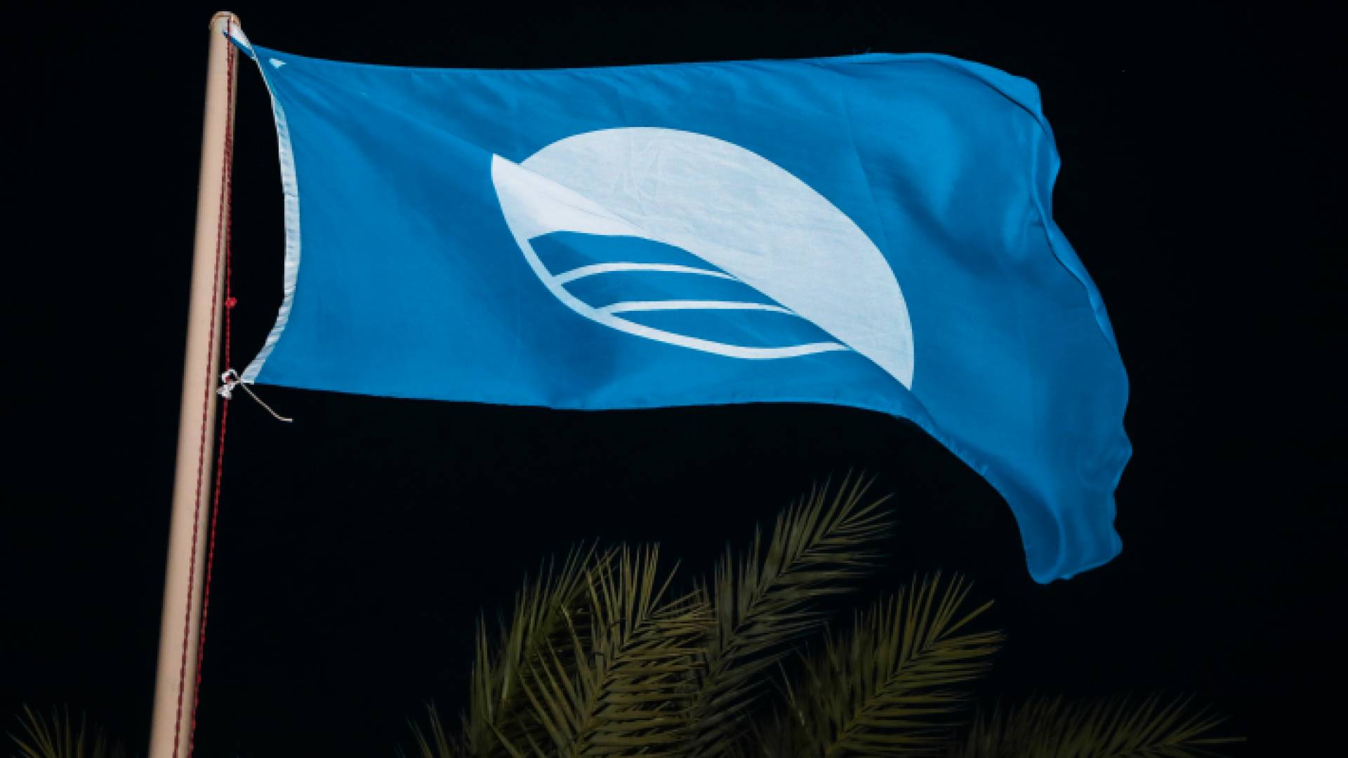 العلم البيئي العالمي