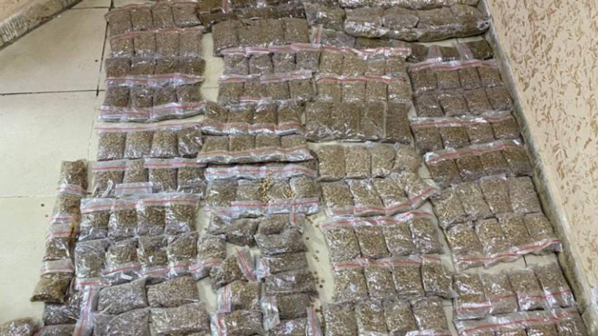 مكافحة التهريب