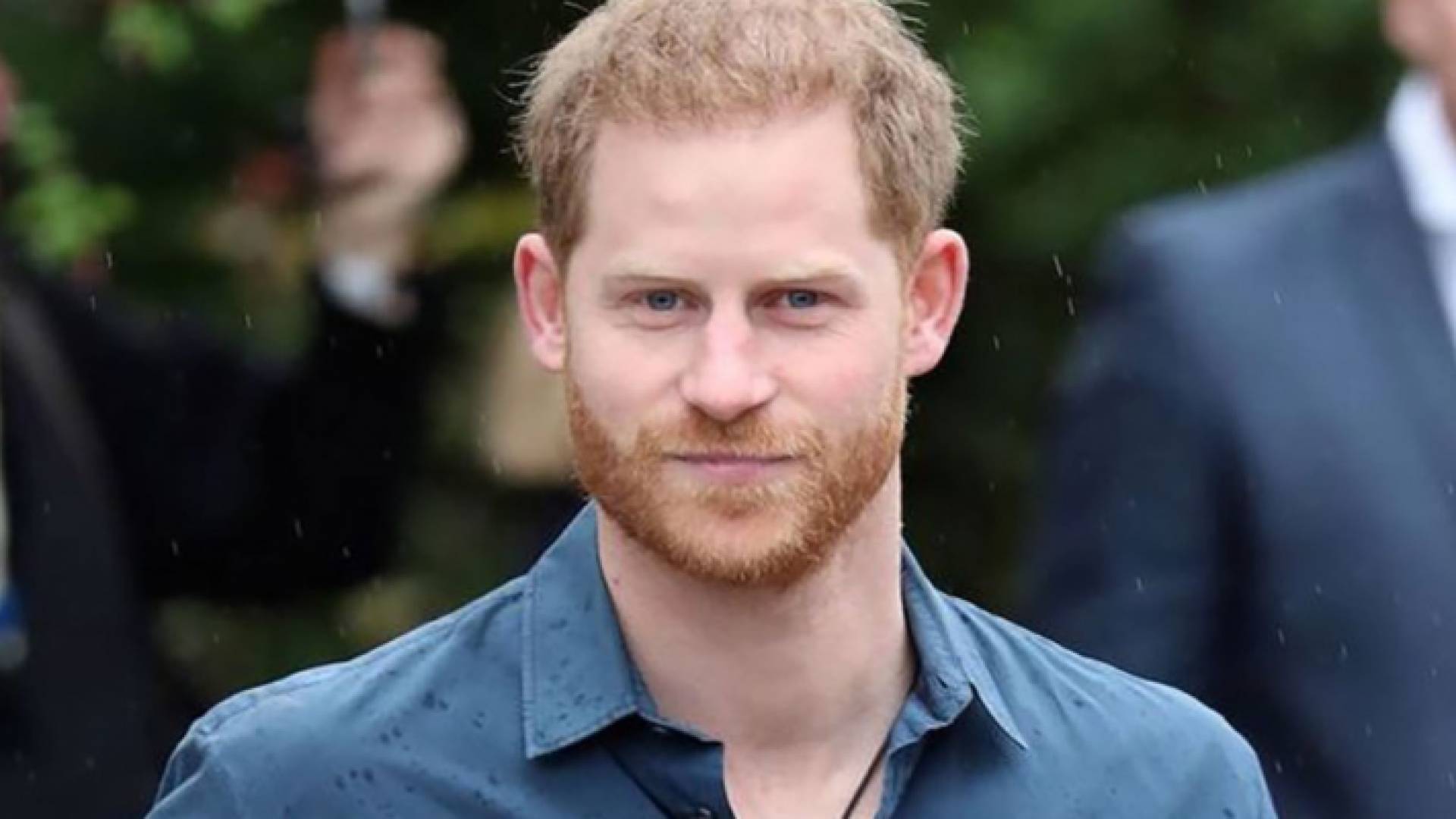 الأمير هاري