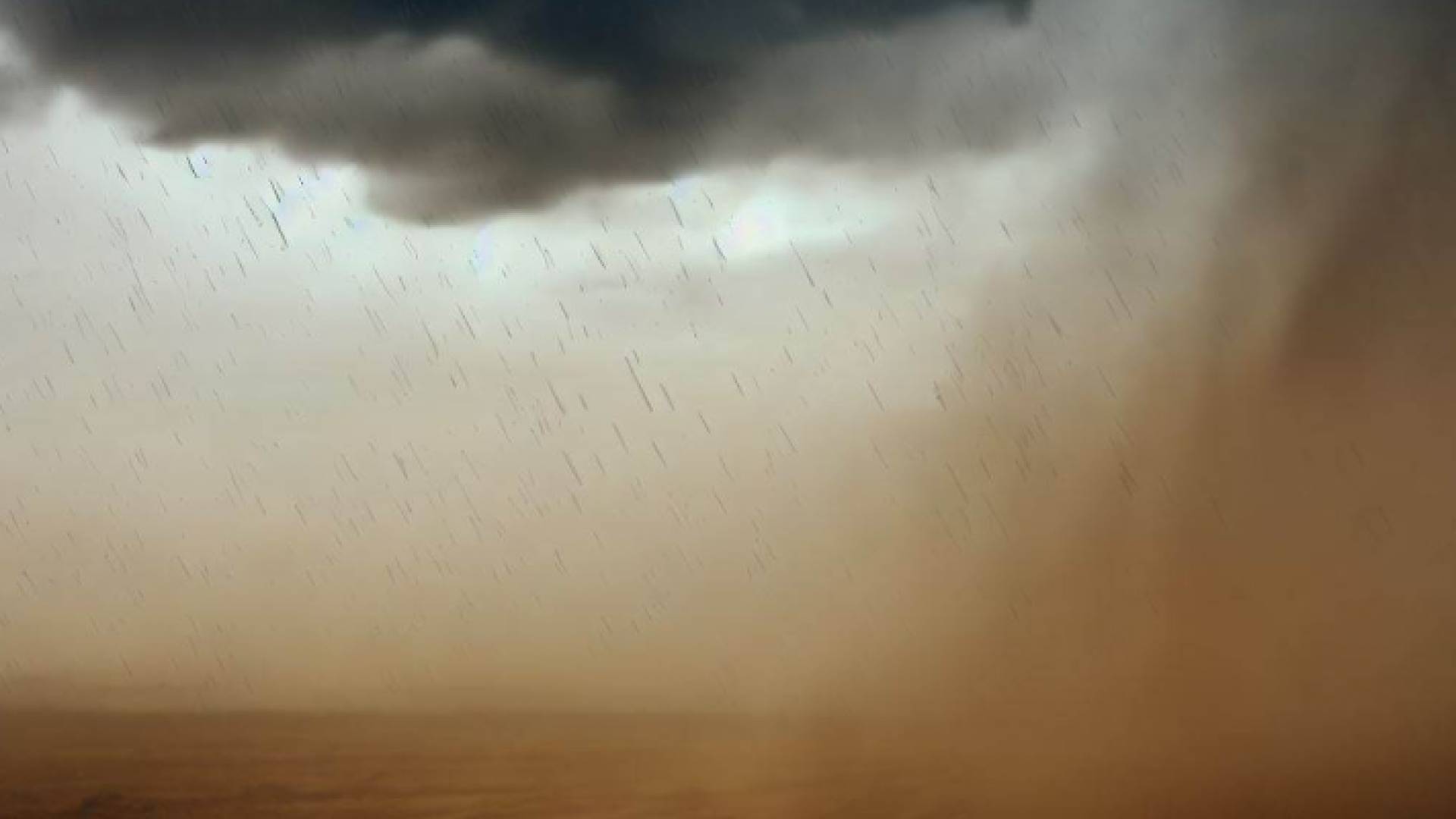 أجواء مغبرة وماطرة عبر تقنية الذكاء الاصطناعي