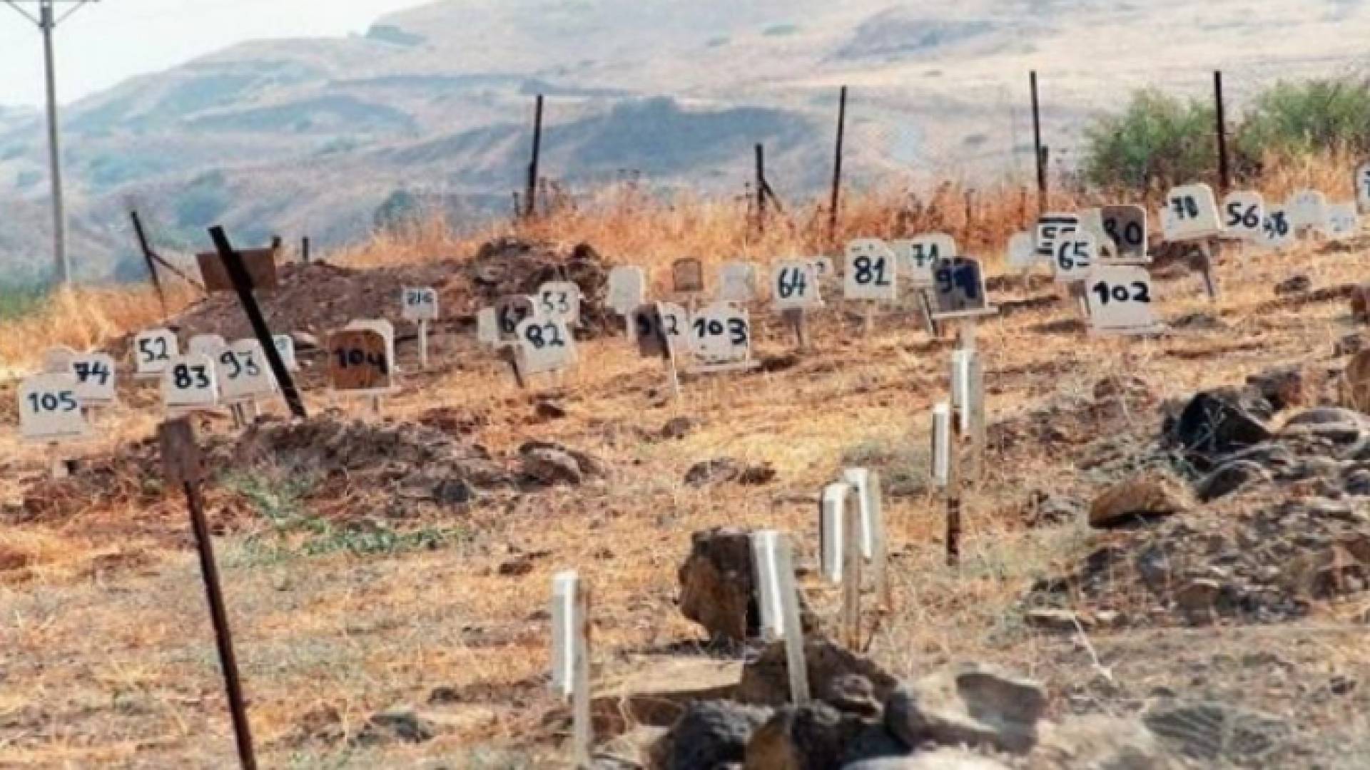 مقابر شهداء