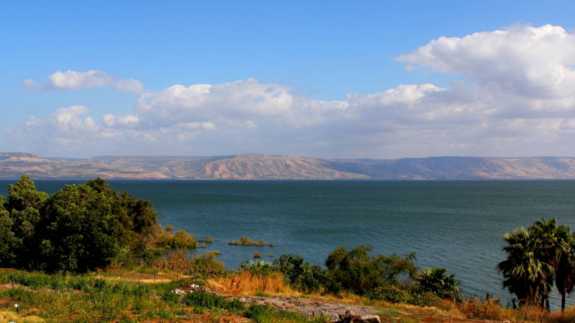 بحيرة طبرية