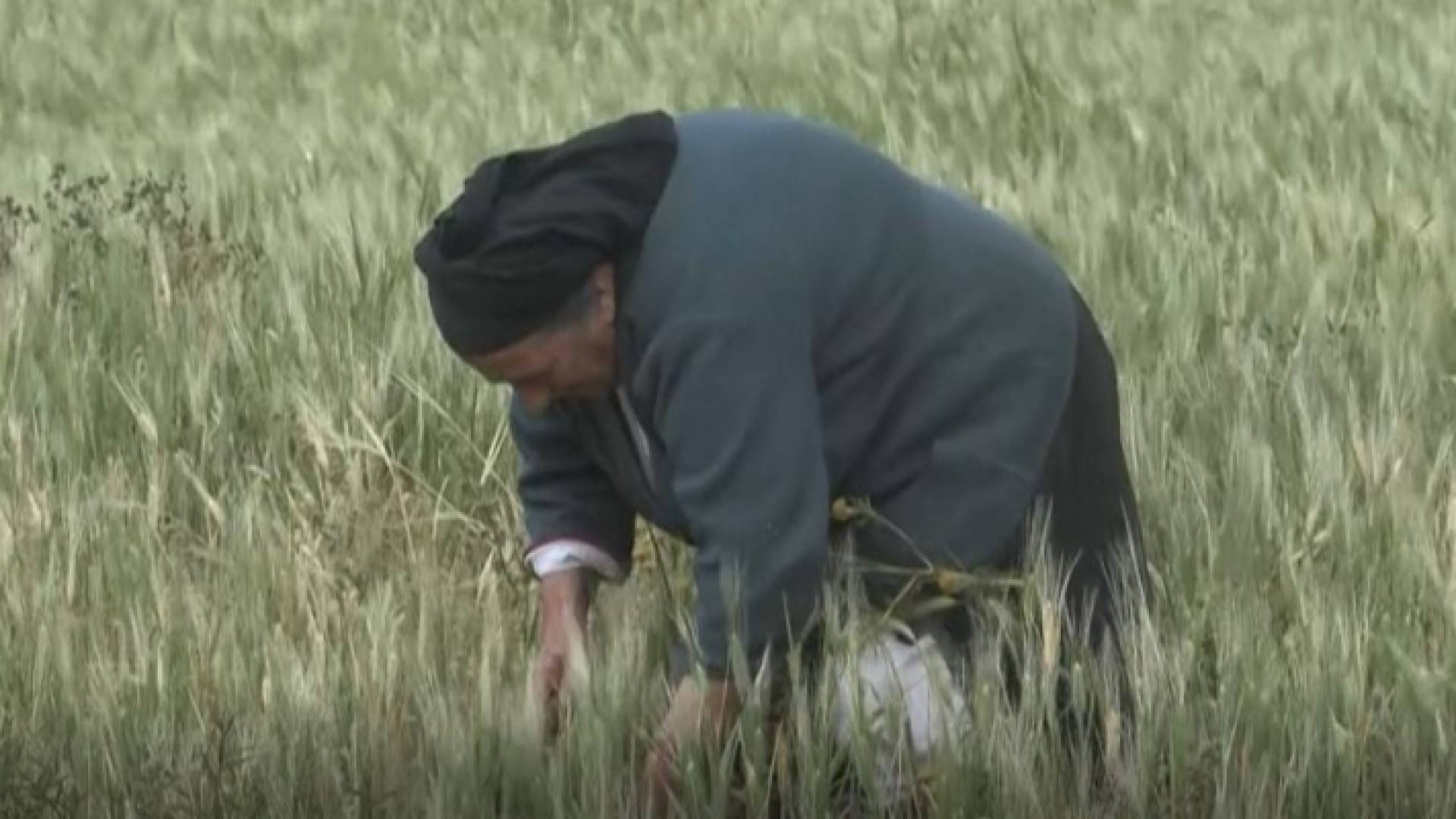 امرأة في أوليمبوس