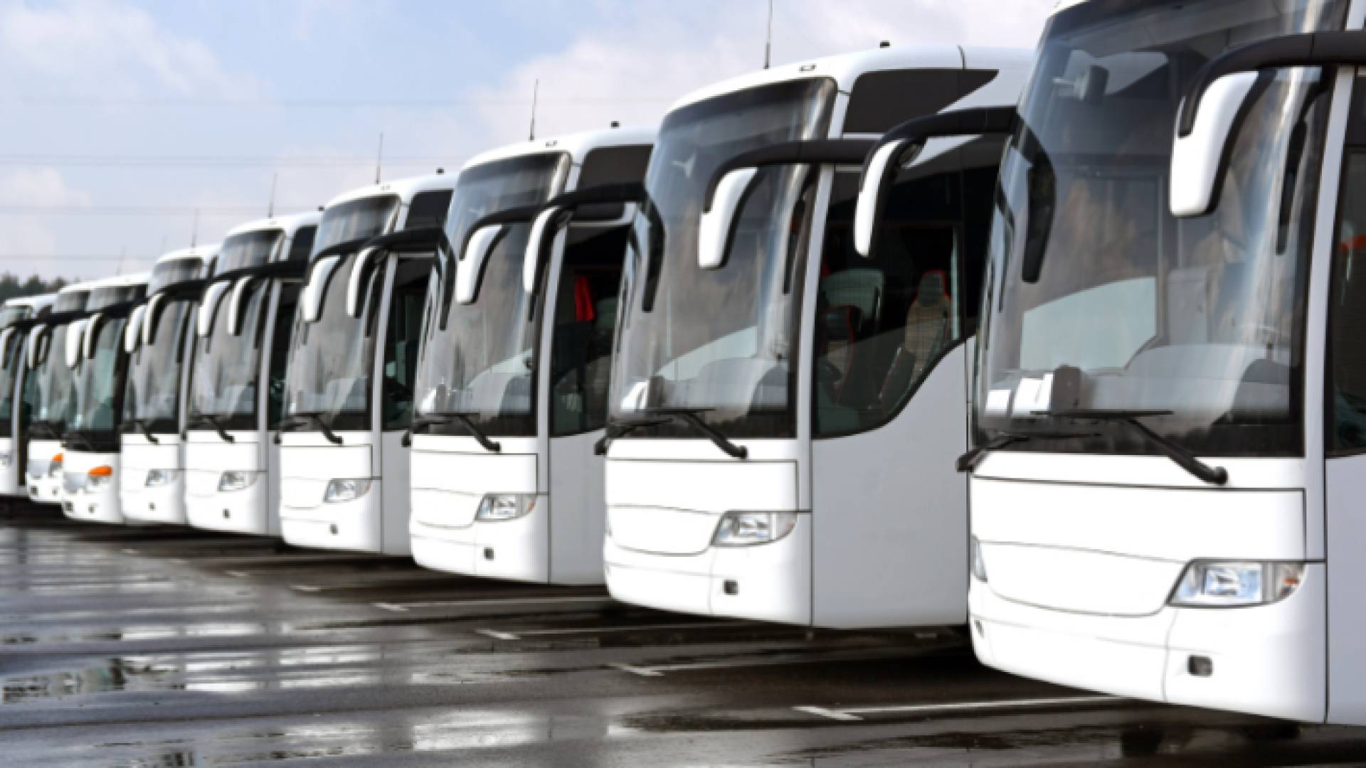 حافلات - أرشيفية