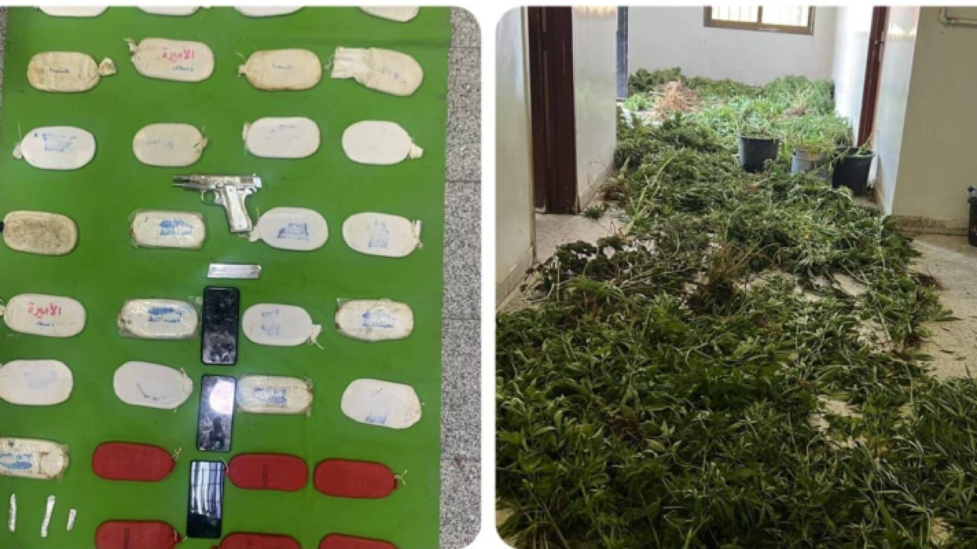 الصورة من المضوبطات