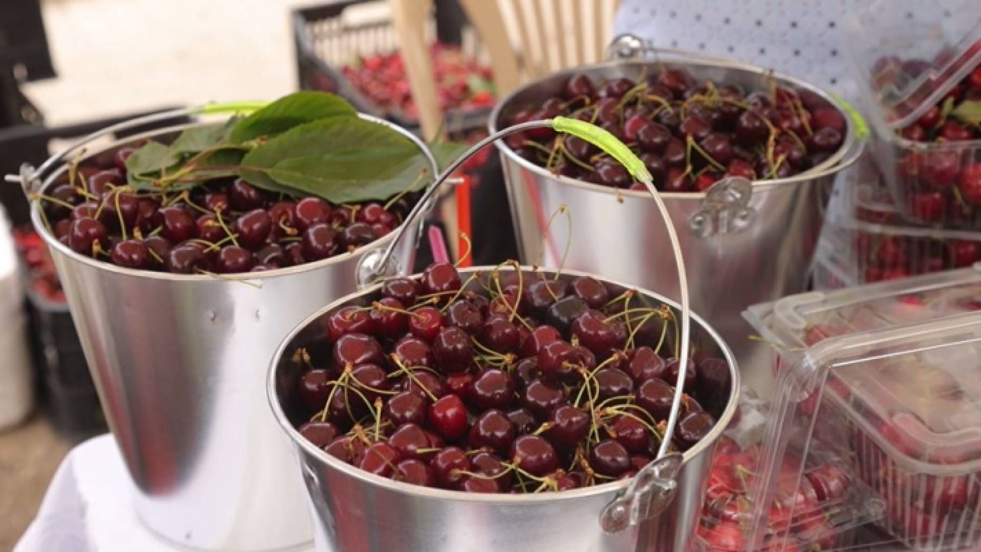 جانب من منتوجات حمانا