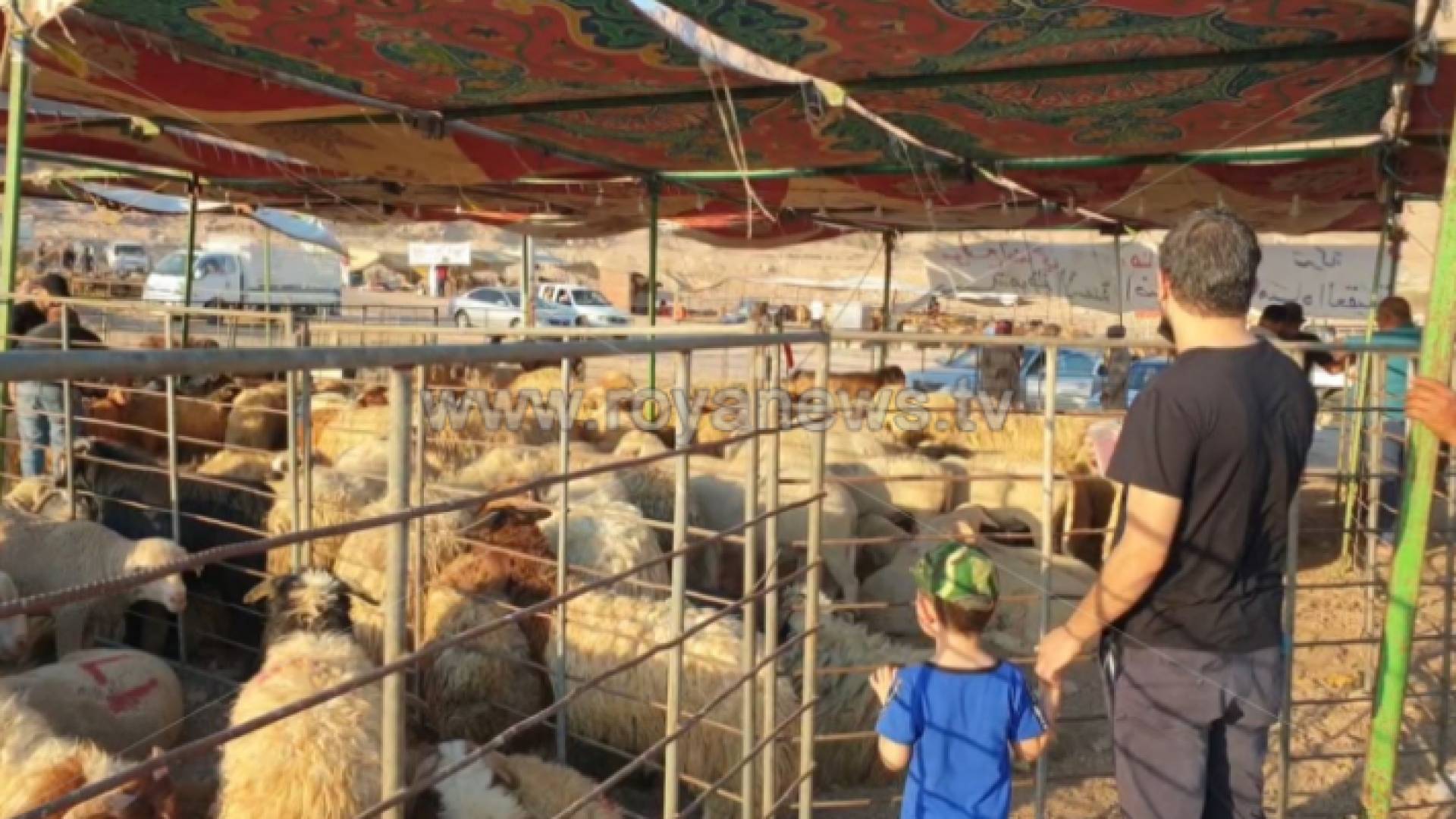 حضيرة مواشي