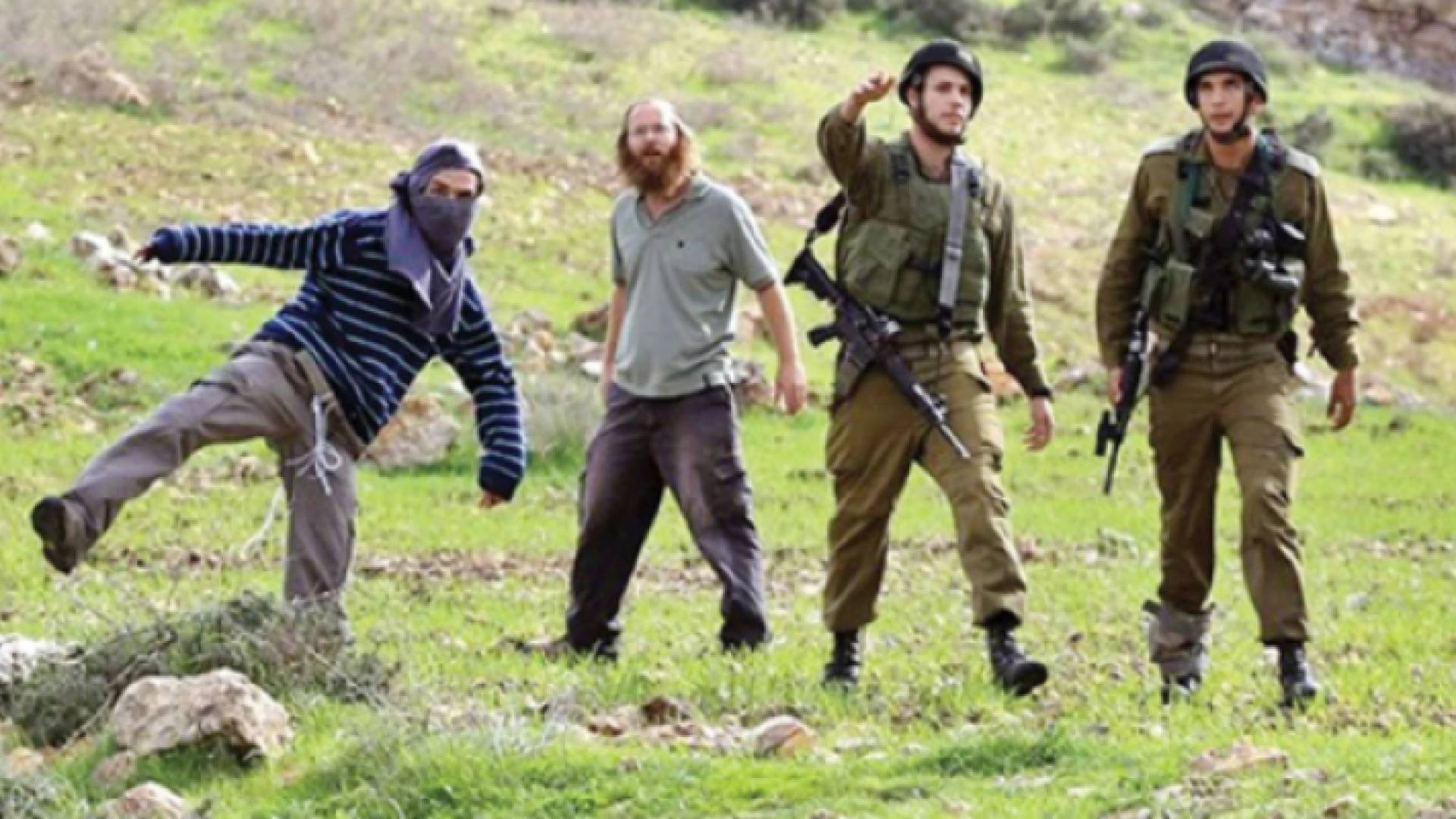 مستوطنون يهاجمون مراعي بمنطقة الثعلة الفلسطينية