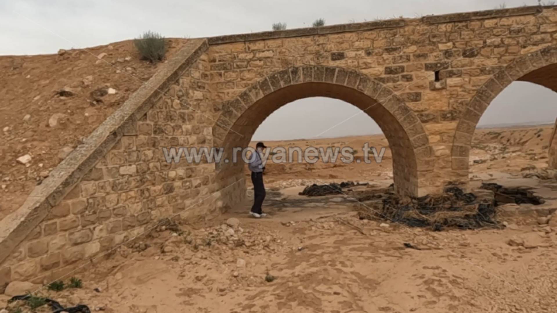 عالم الآثار الدكتور عبدالقادر الحصان