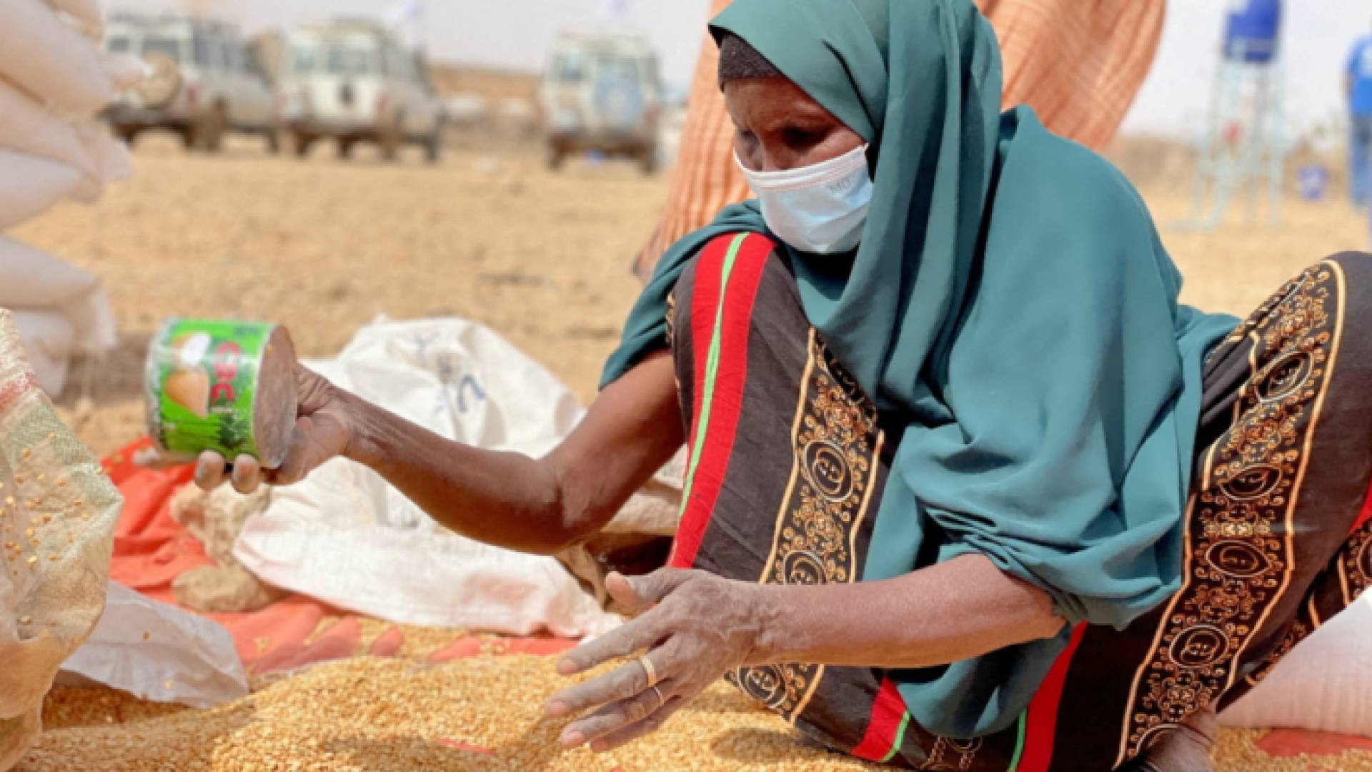 أزمة الغذاء العالمية