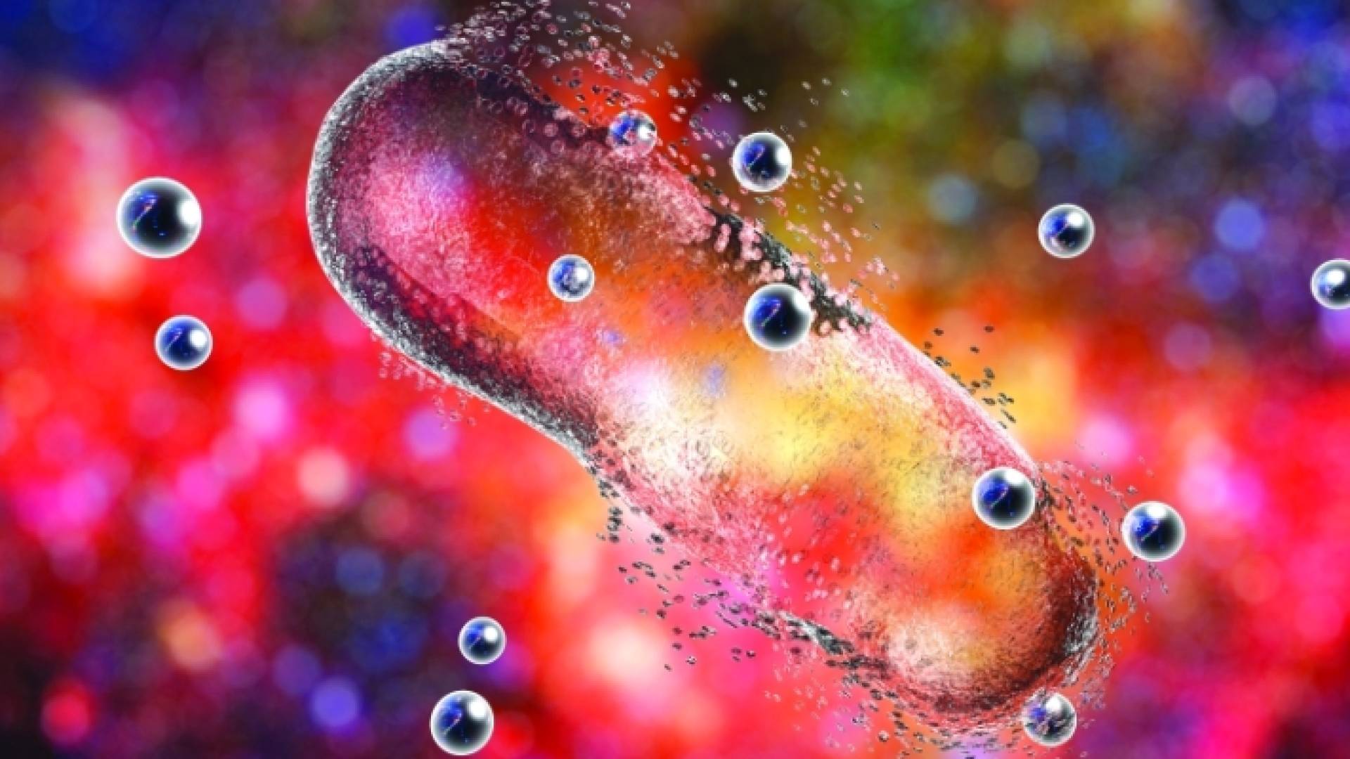 مضادات الميكروبات