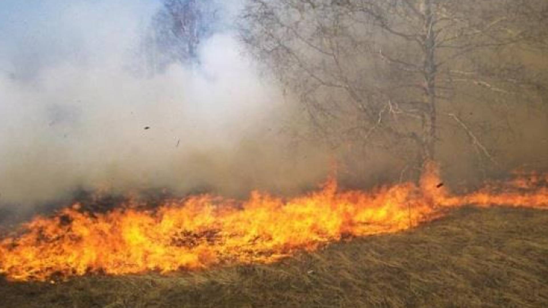 حريق - أرشيفية