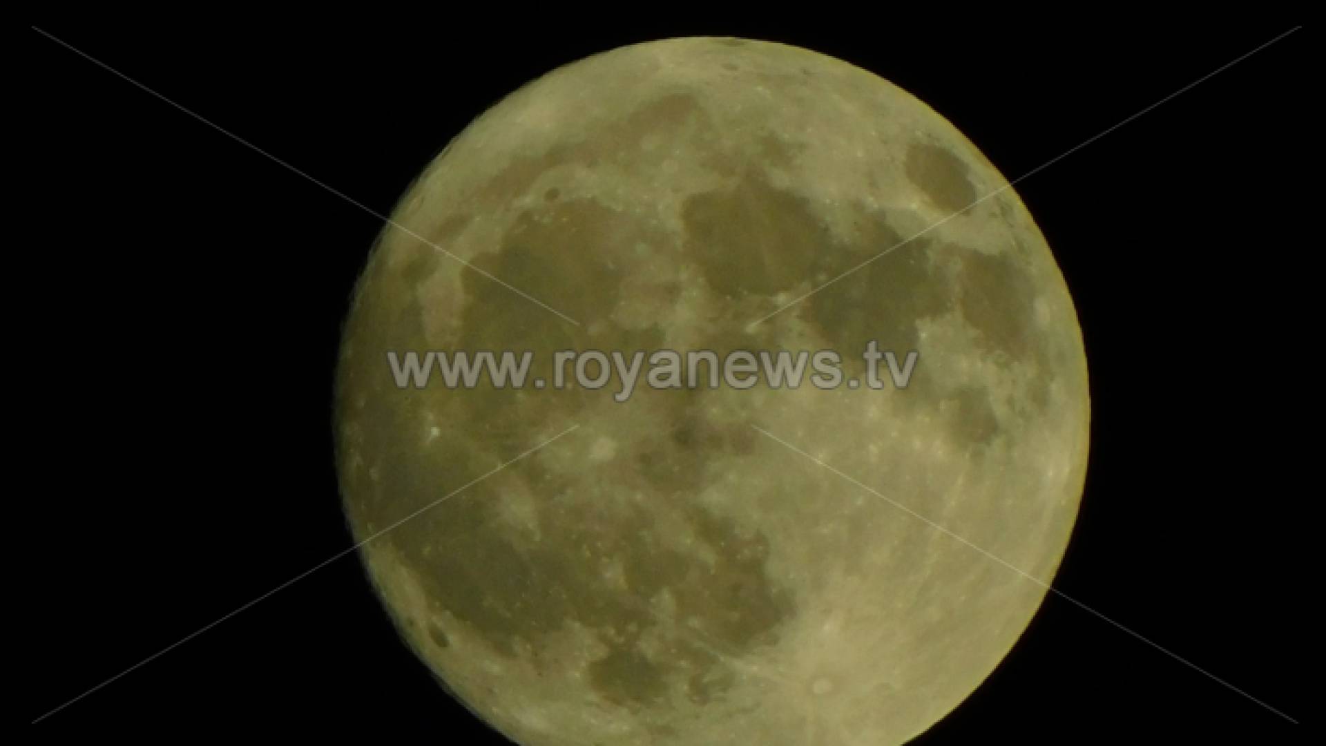 قمر الغزال العملاق