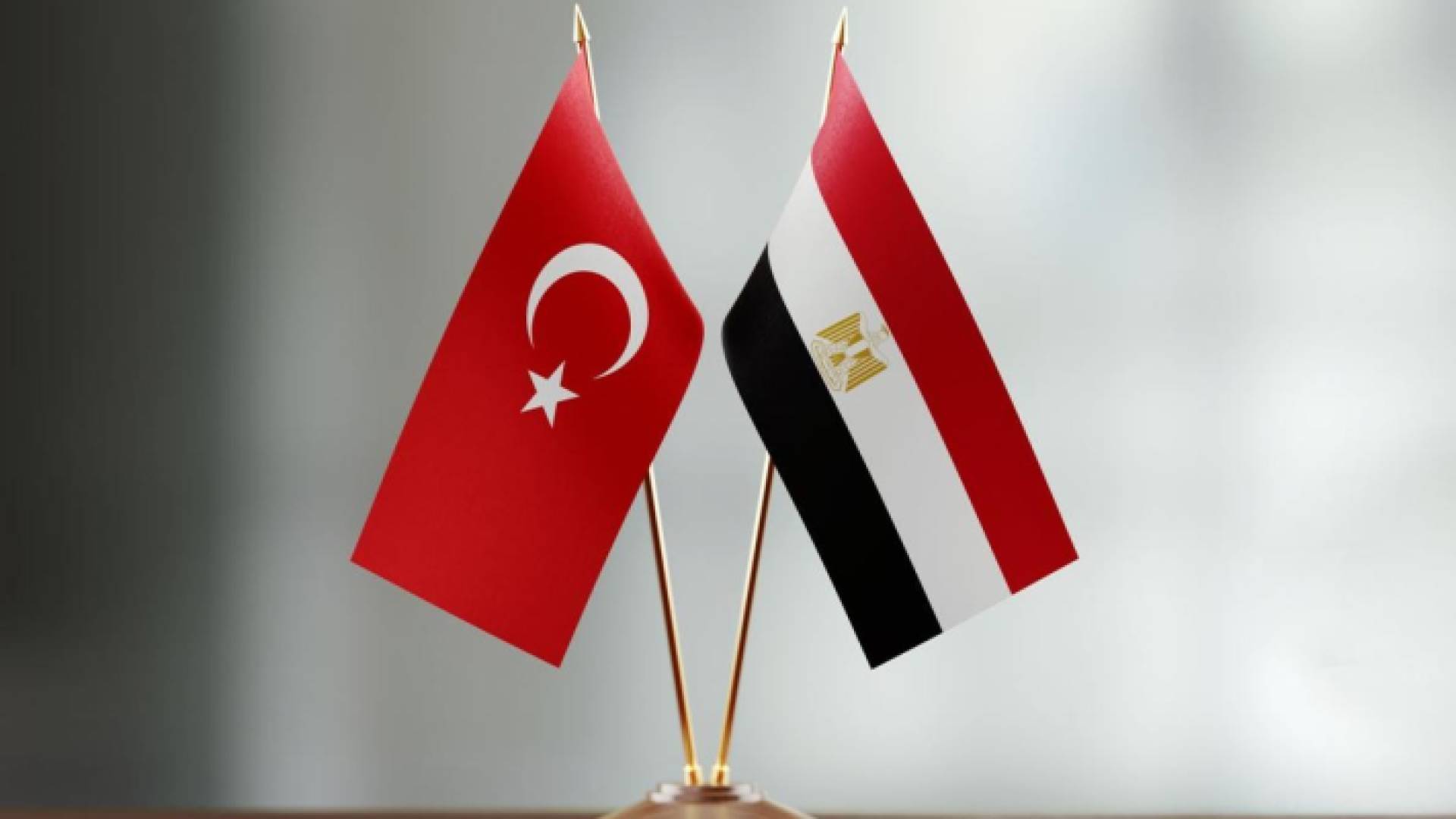 علما تركيا ومصر