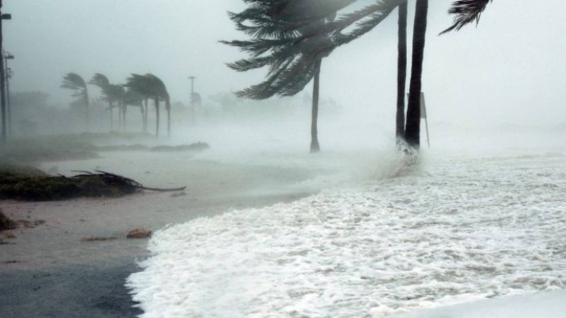 عاصقة ورياح شديدة السرعة "أرشيفية"