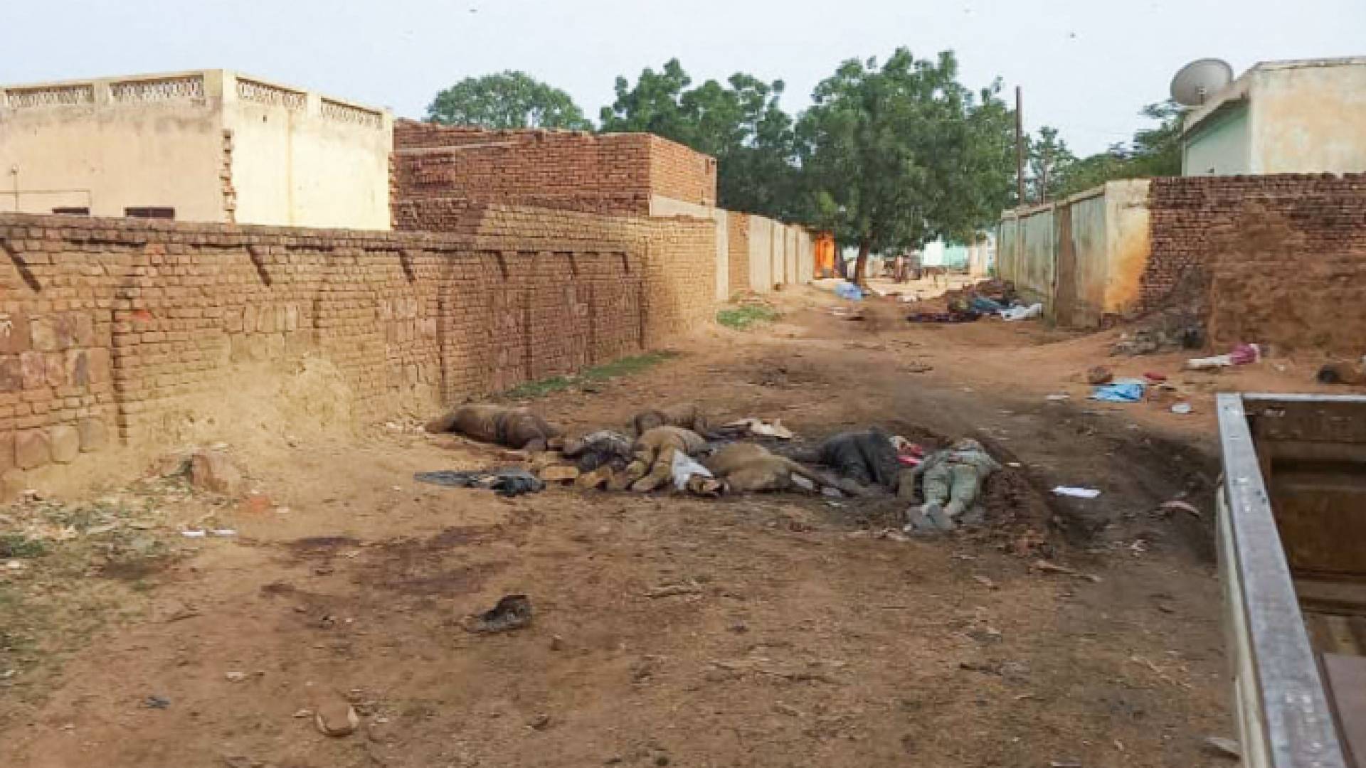 جثث في عاصمة ولاية غرب دارفور "الجنينة"