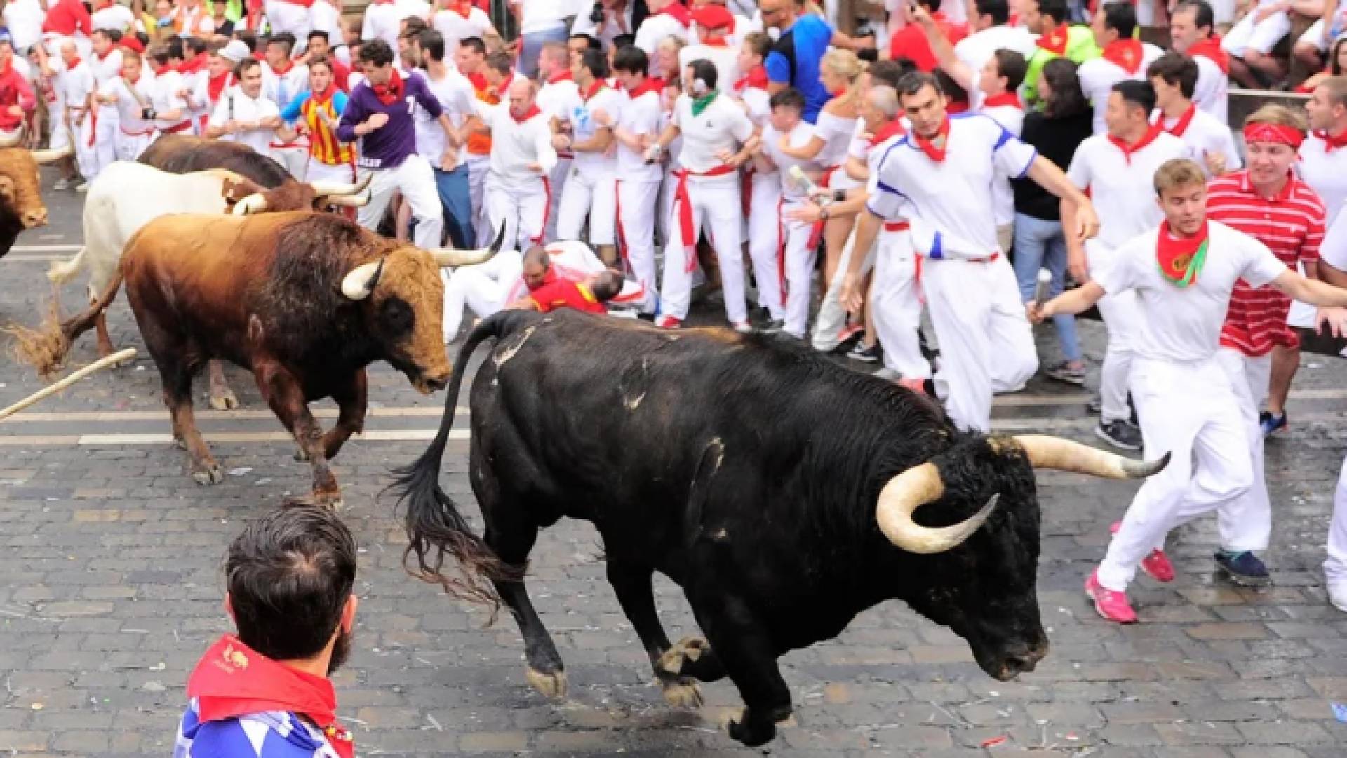 جانب من مهرجان سان فيرمين