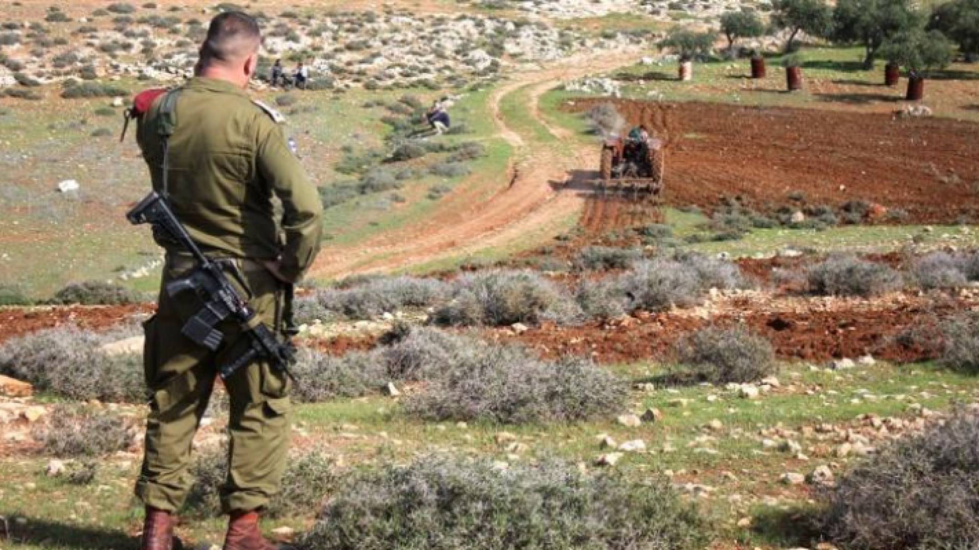 العمل بأرض زراعية في رام الله