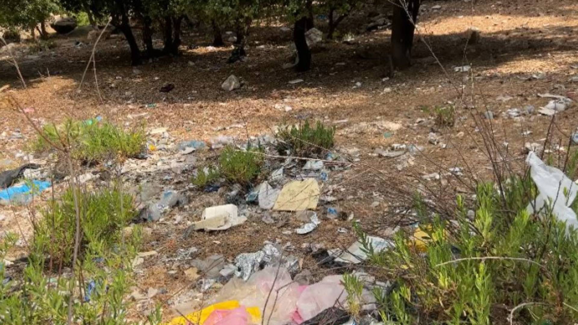 نفايات في منتزه زي القومي