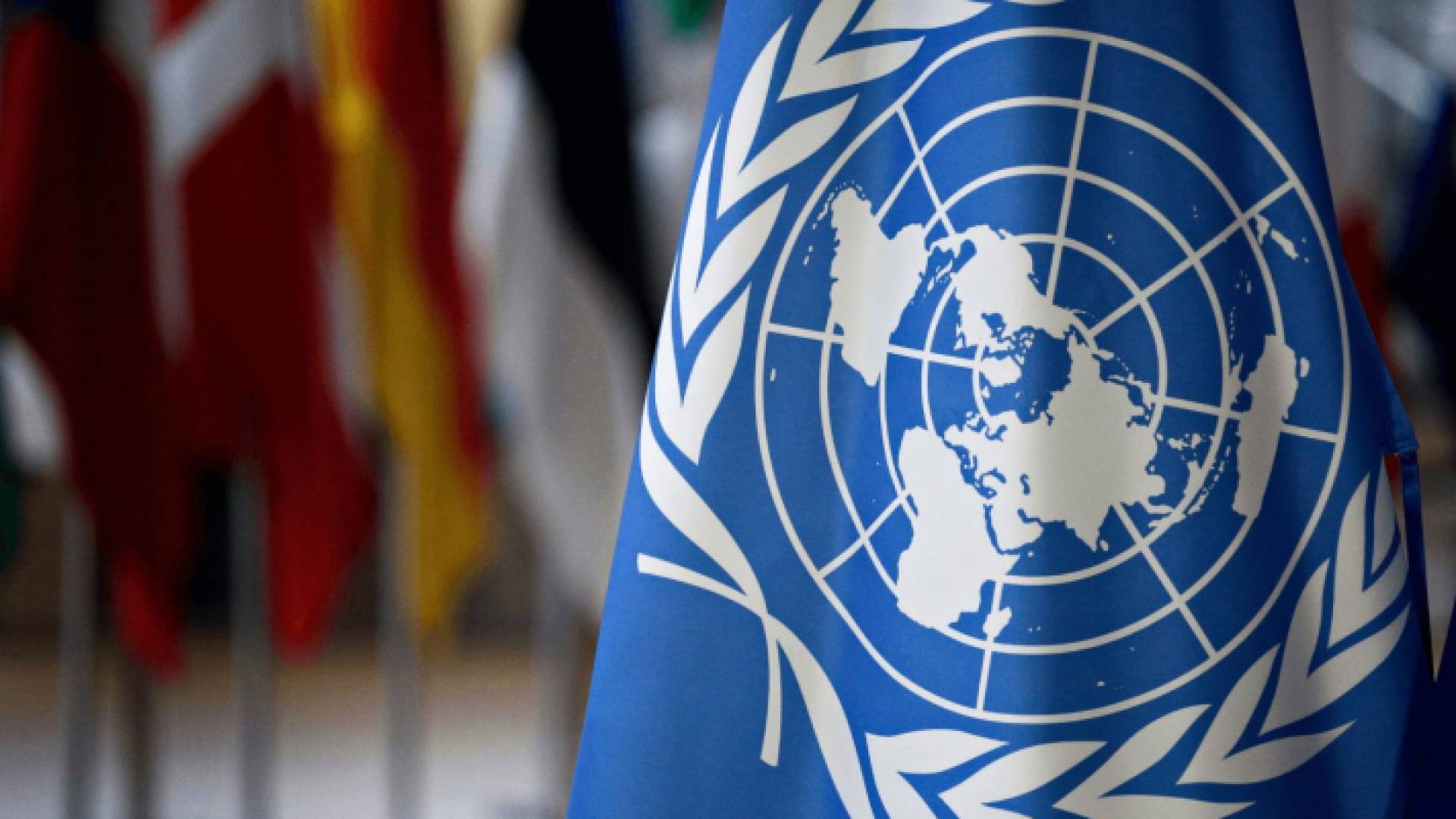 علم الأمم المتحدة