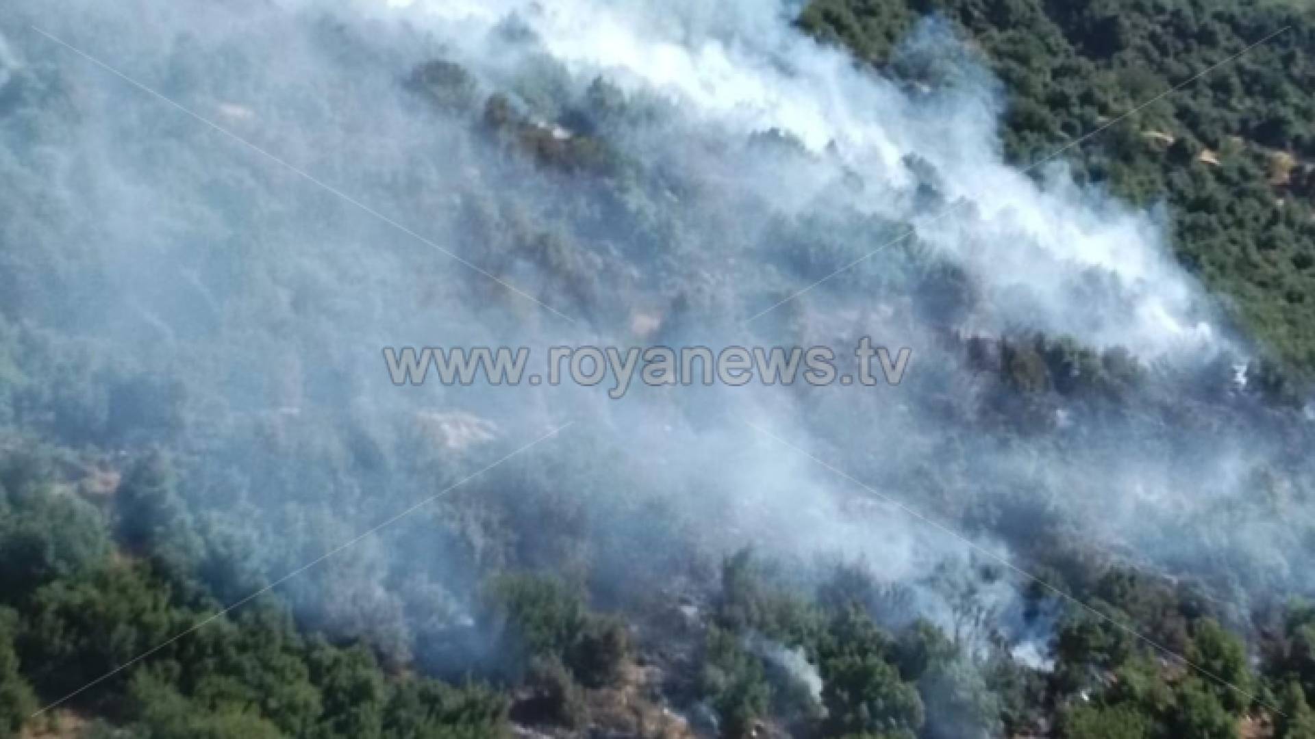 الصورة من الحريق