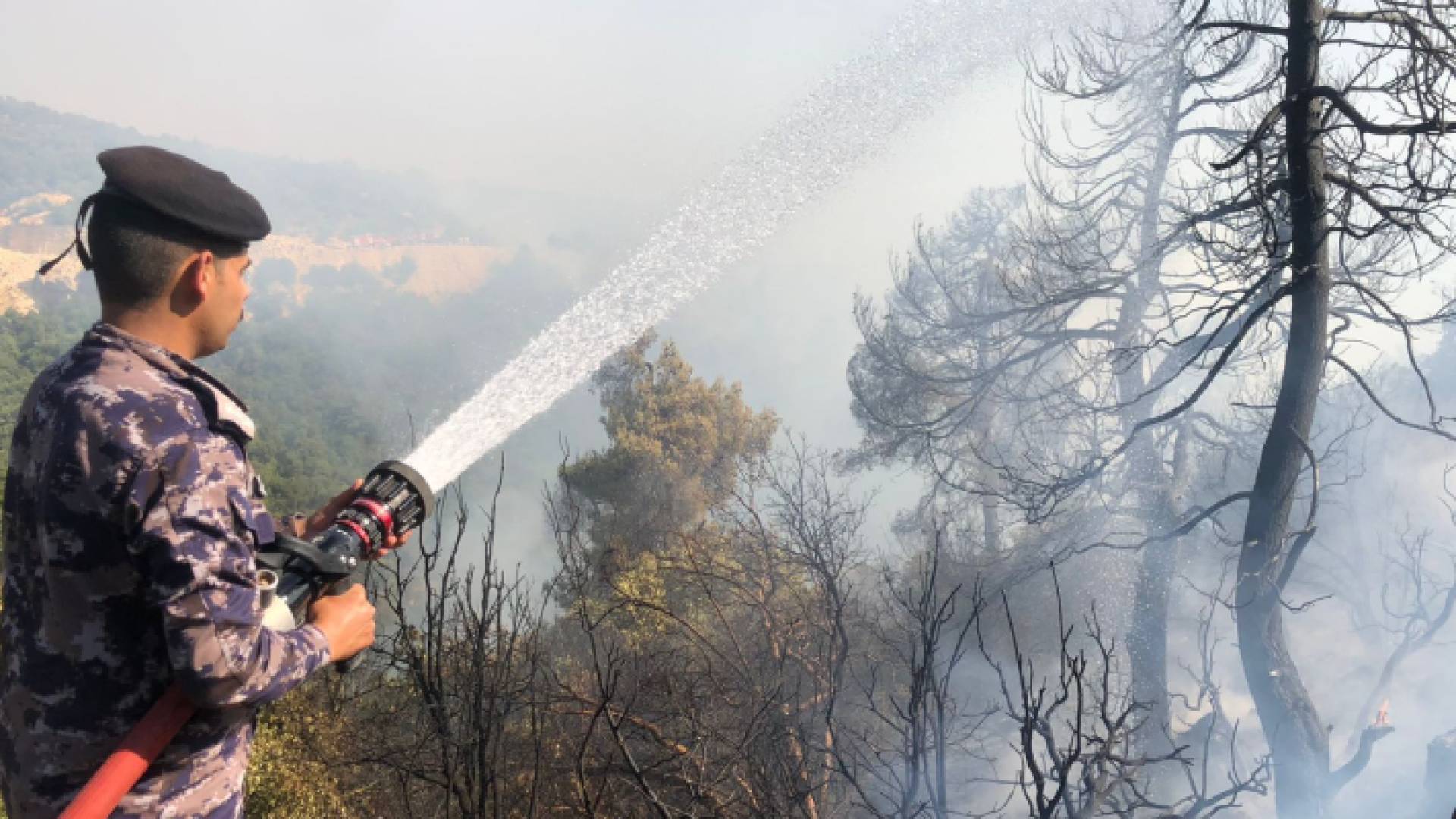 الدفاع المدني أثناء التعامل مع حرائق الغابات في عجلون وجرش