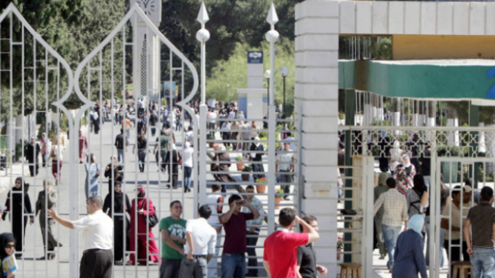 طلبة جامعات