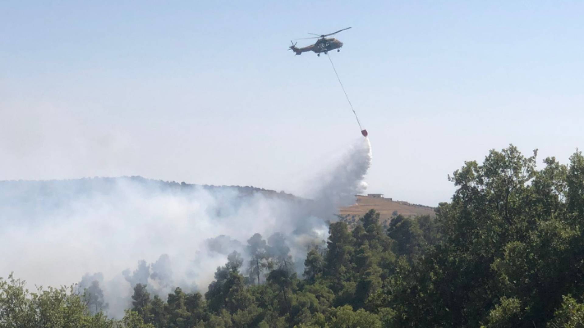 طائرة تابعة لسلاح الجو تعمل على إخماد حرائق الغابات