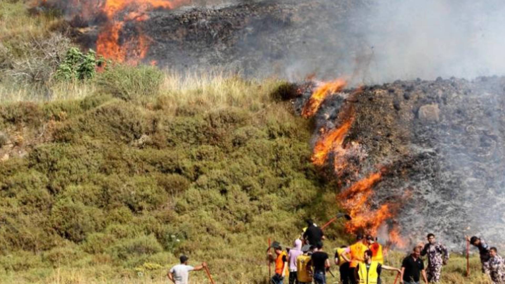 مستوطنون يحرقون أراض زراعية في وقت سابق