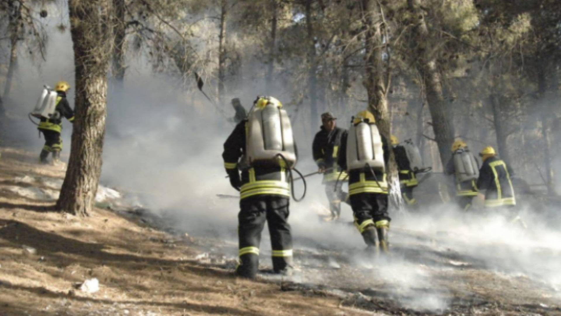 صورة أرشيفية لكوادر من الدفاع المدني أثناء إخمادهم لحرائق غابات جرش الماضية