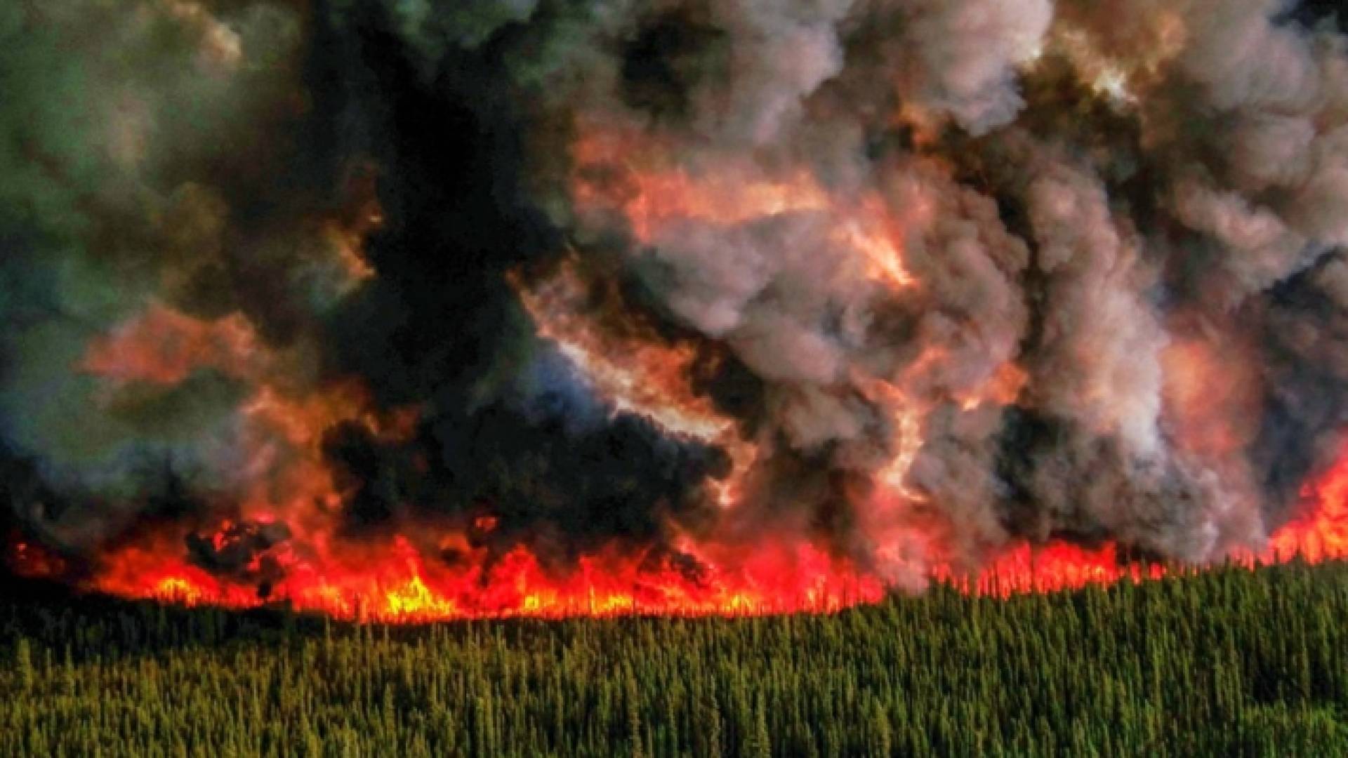 حرائق الغابات في كندا