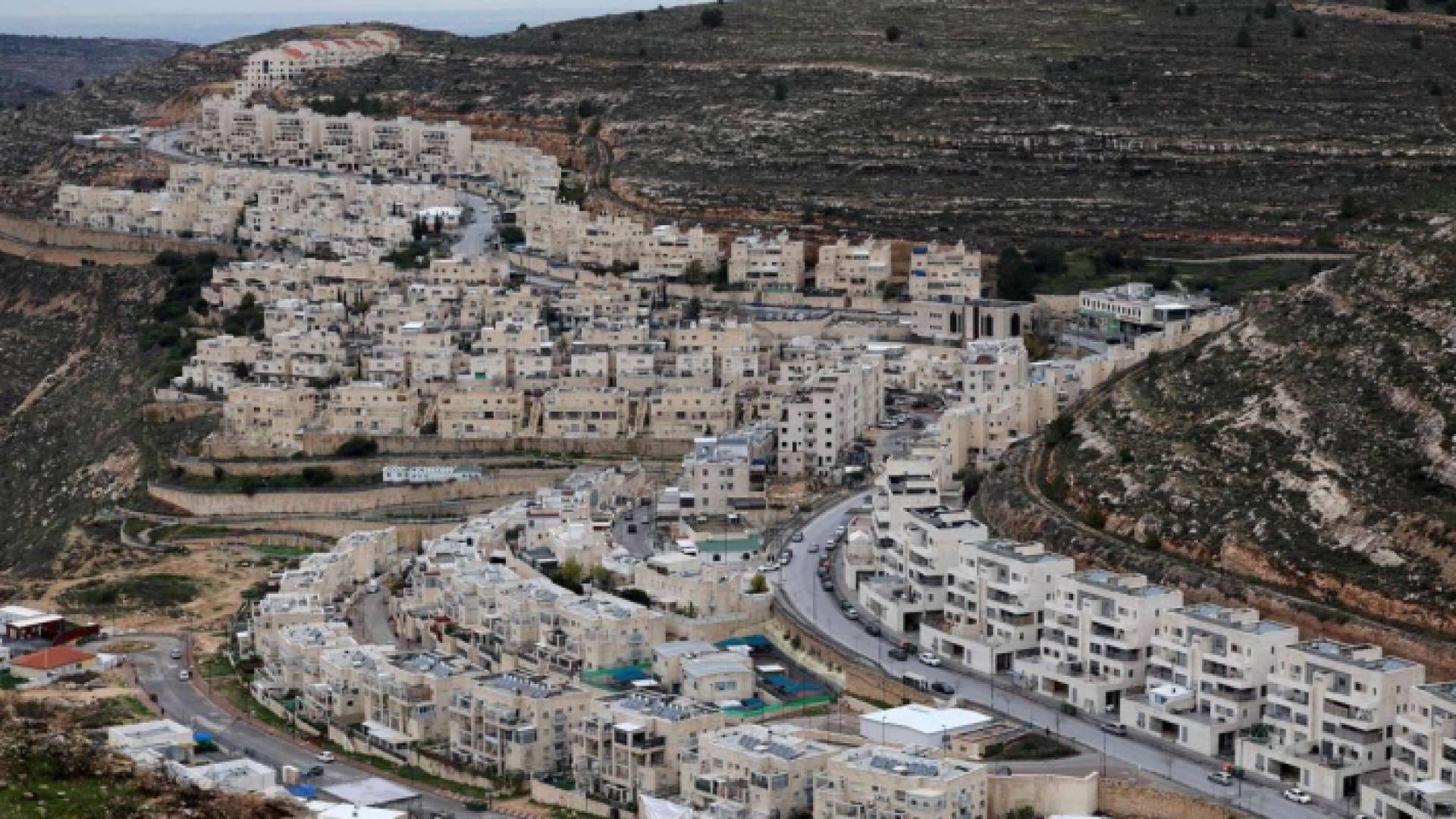 مستوطنات في الأراضي الفلسطينية المحتلة