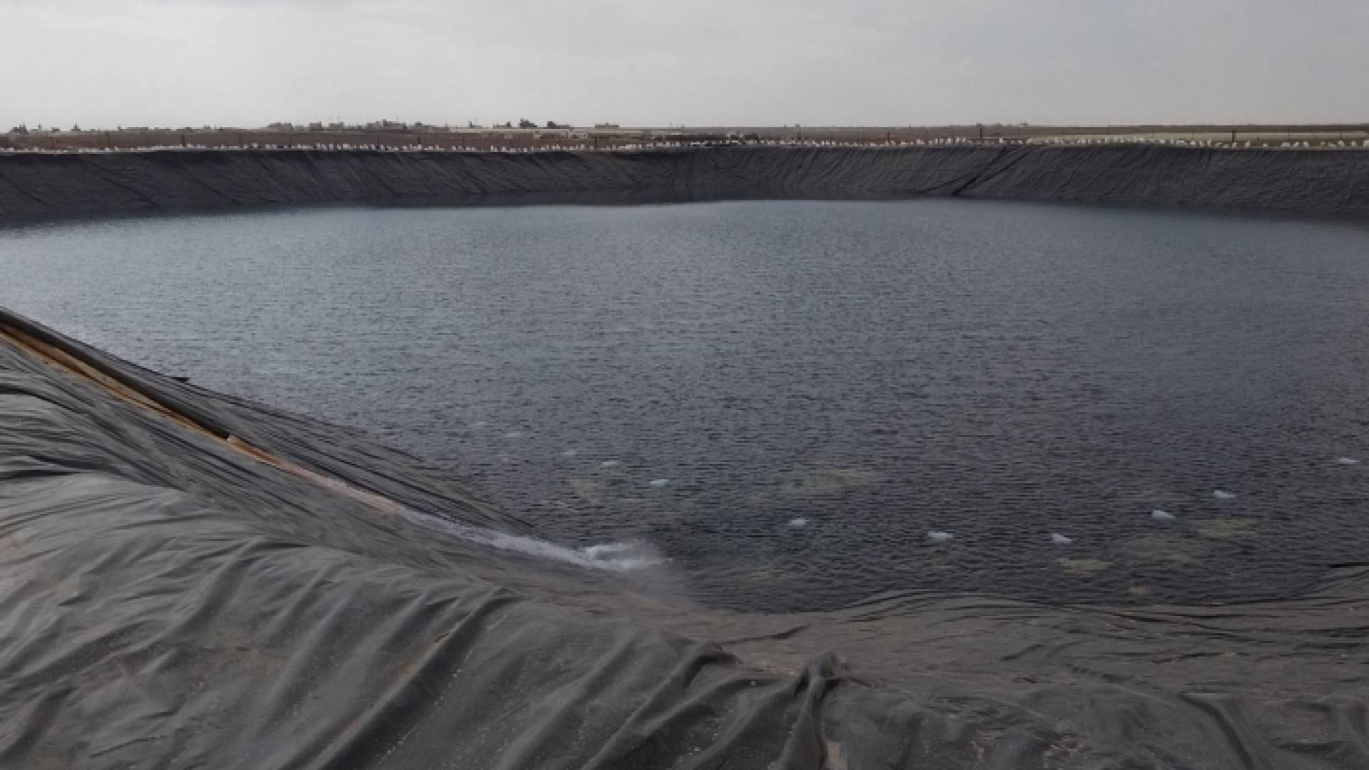 بركة زراعية "تعبيرية"