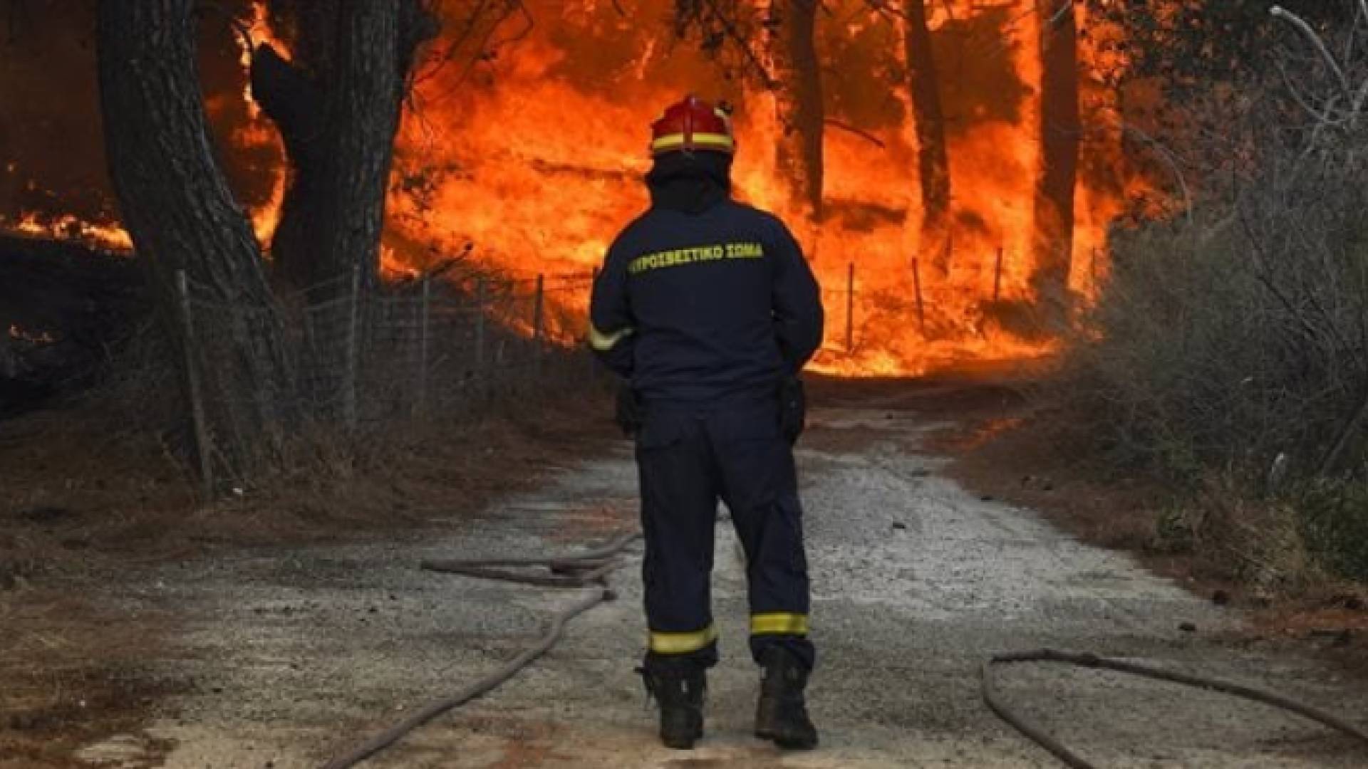 حرائق غابات في جزيرة رودس اليونانية