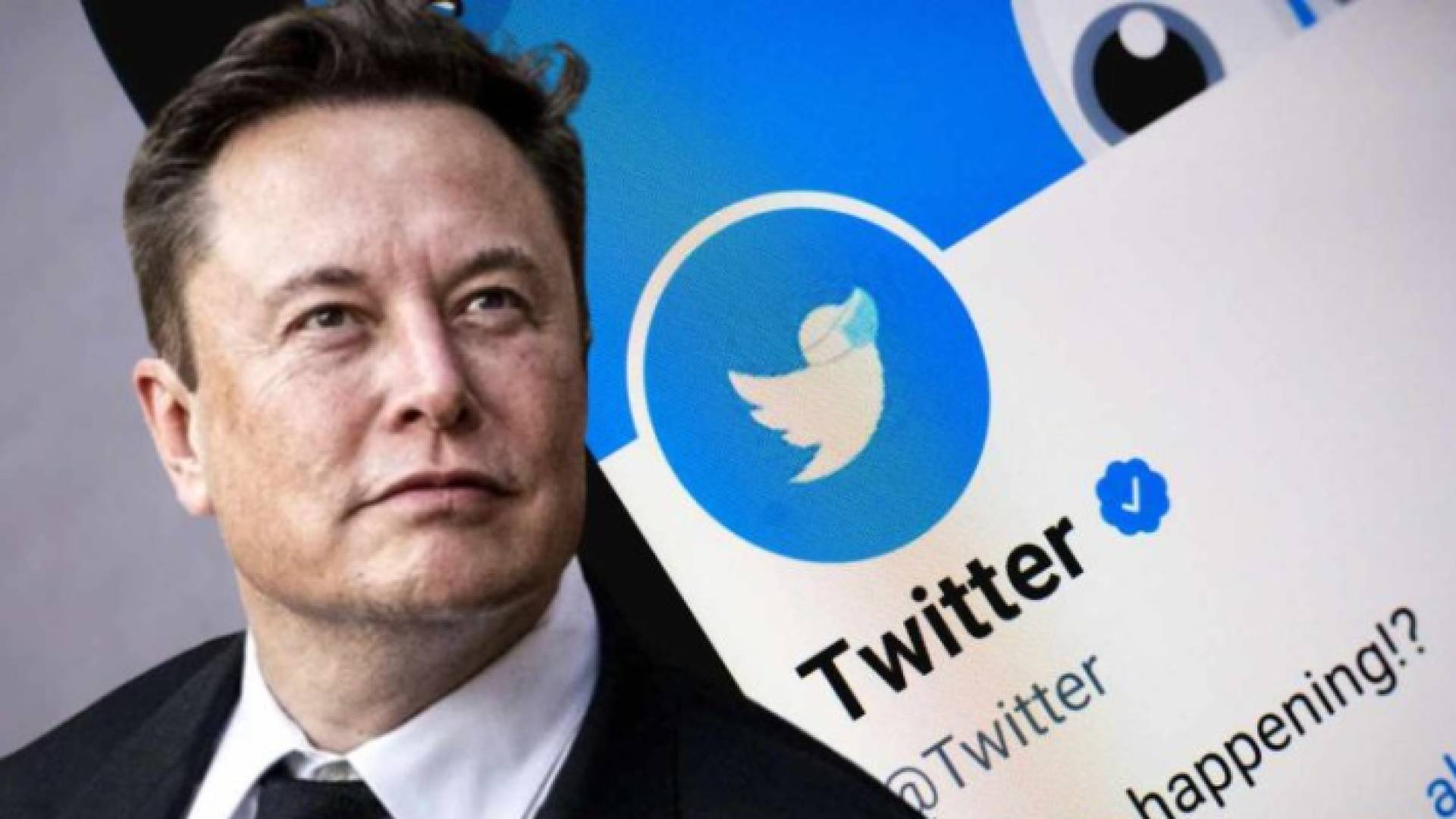 إيلون ماسك وتويتر