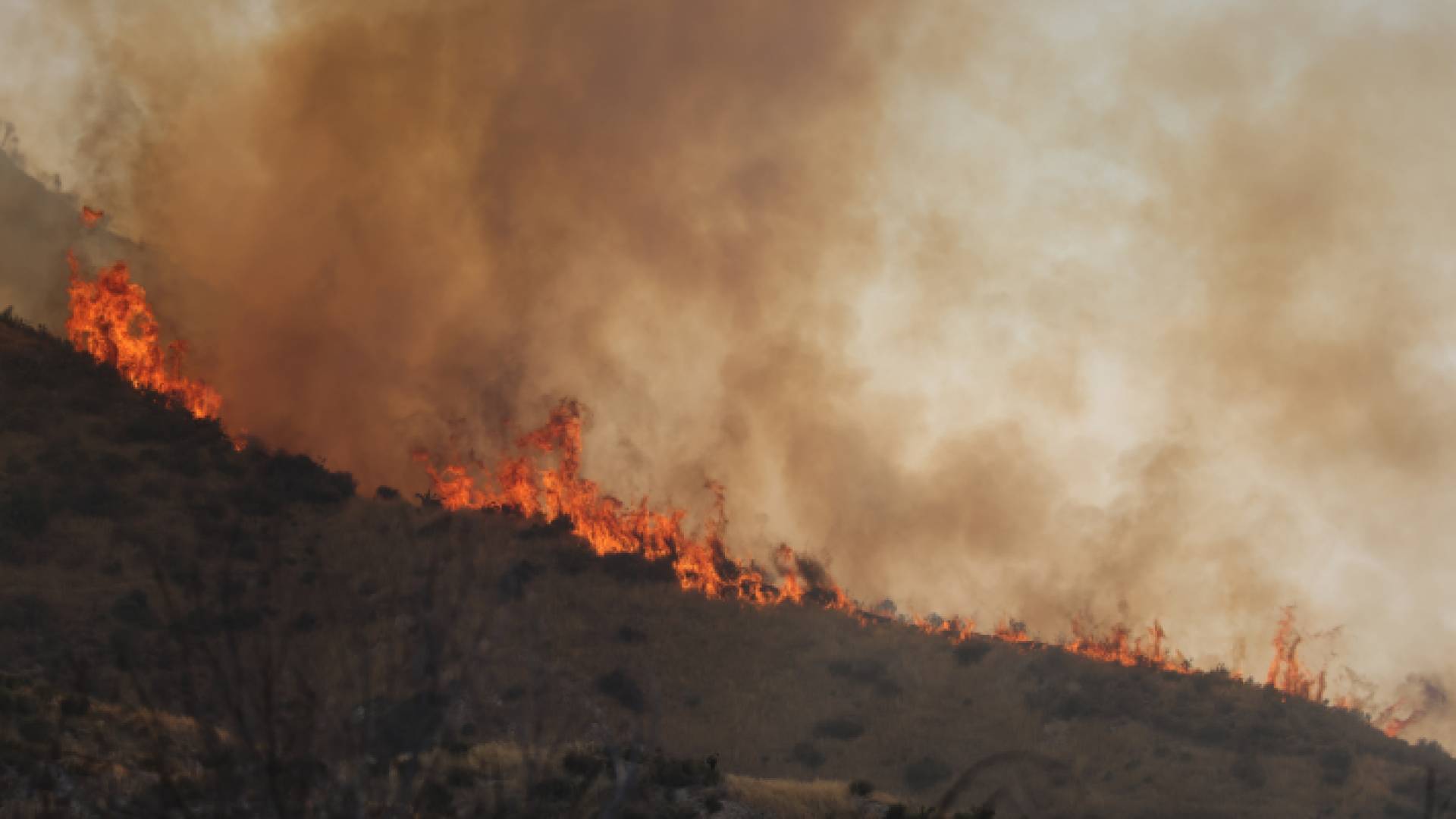 حرائق اليونان