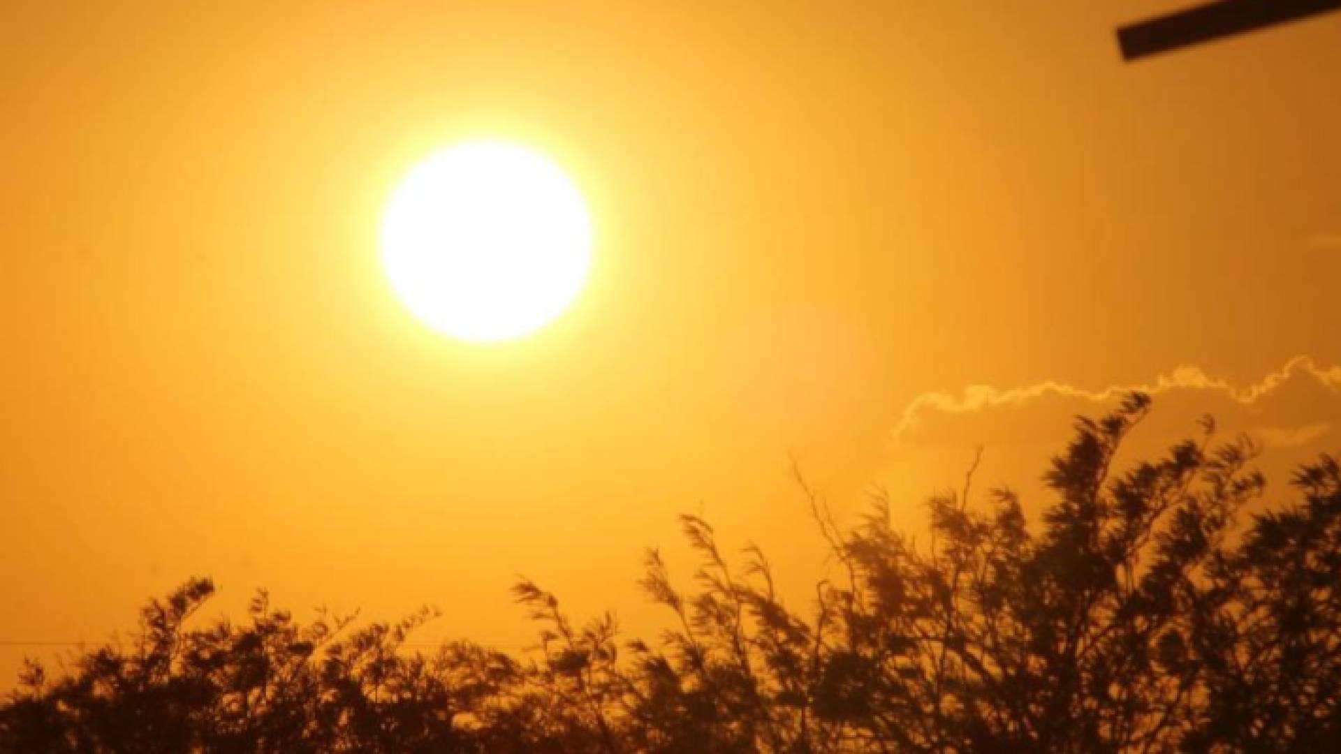 شمس تتوسط السماء