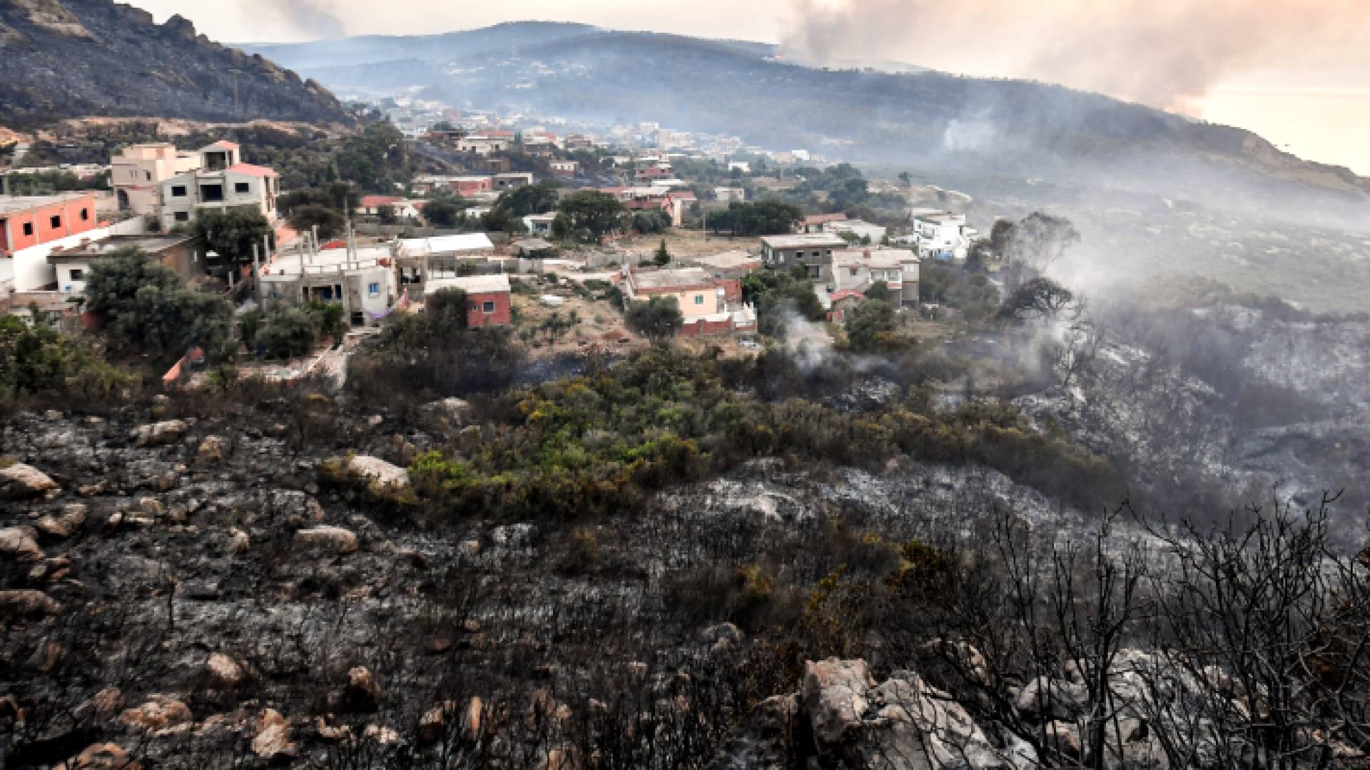 حرائق تلتهم أراض واسعة من الجزائر