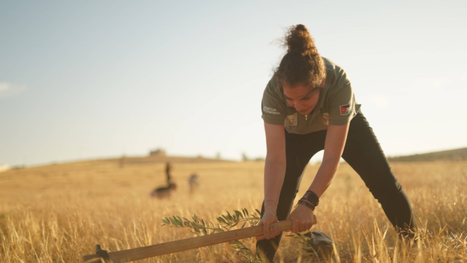100 شجرة زيتون تبشر عائلة زراعية من "نتل" بموسم زيت مبارك