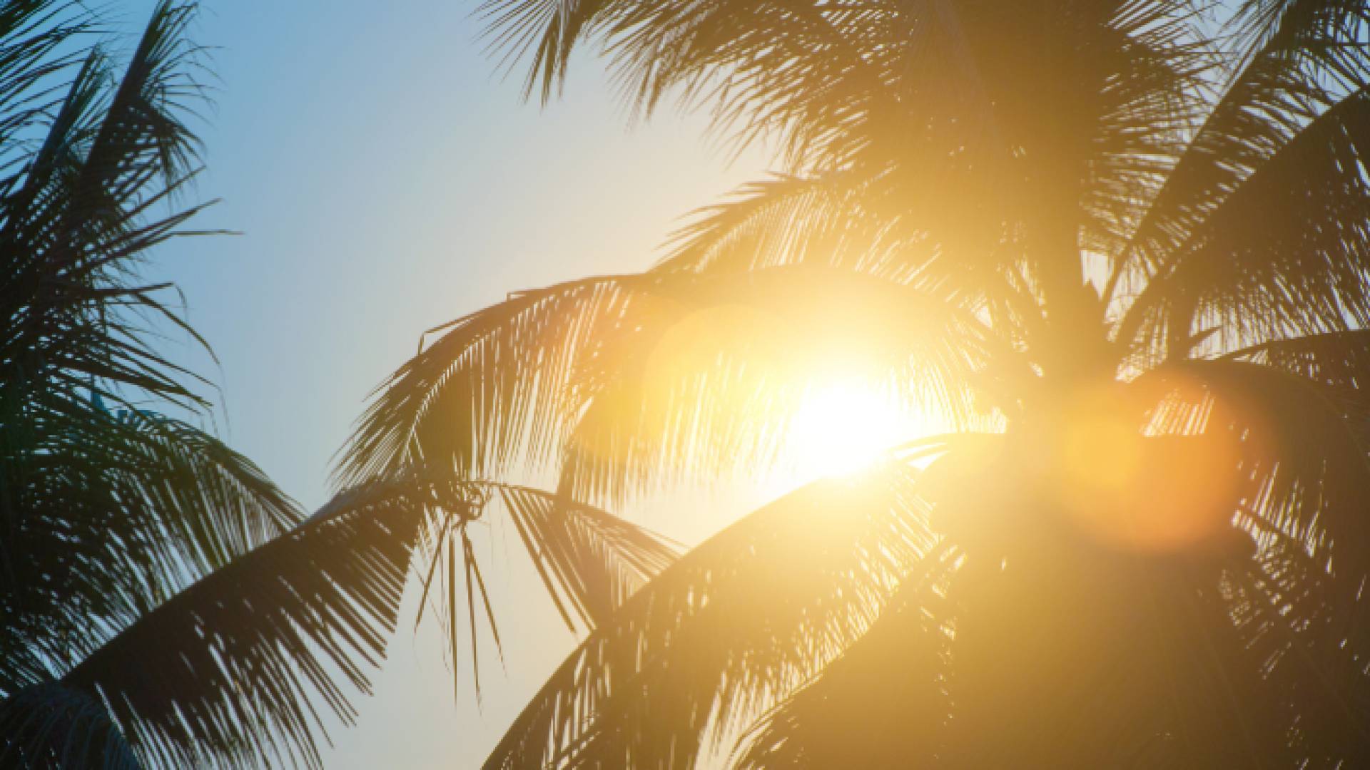 أجواء مشمسة