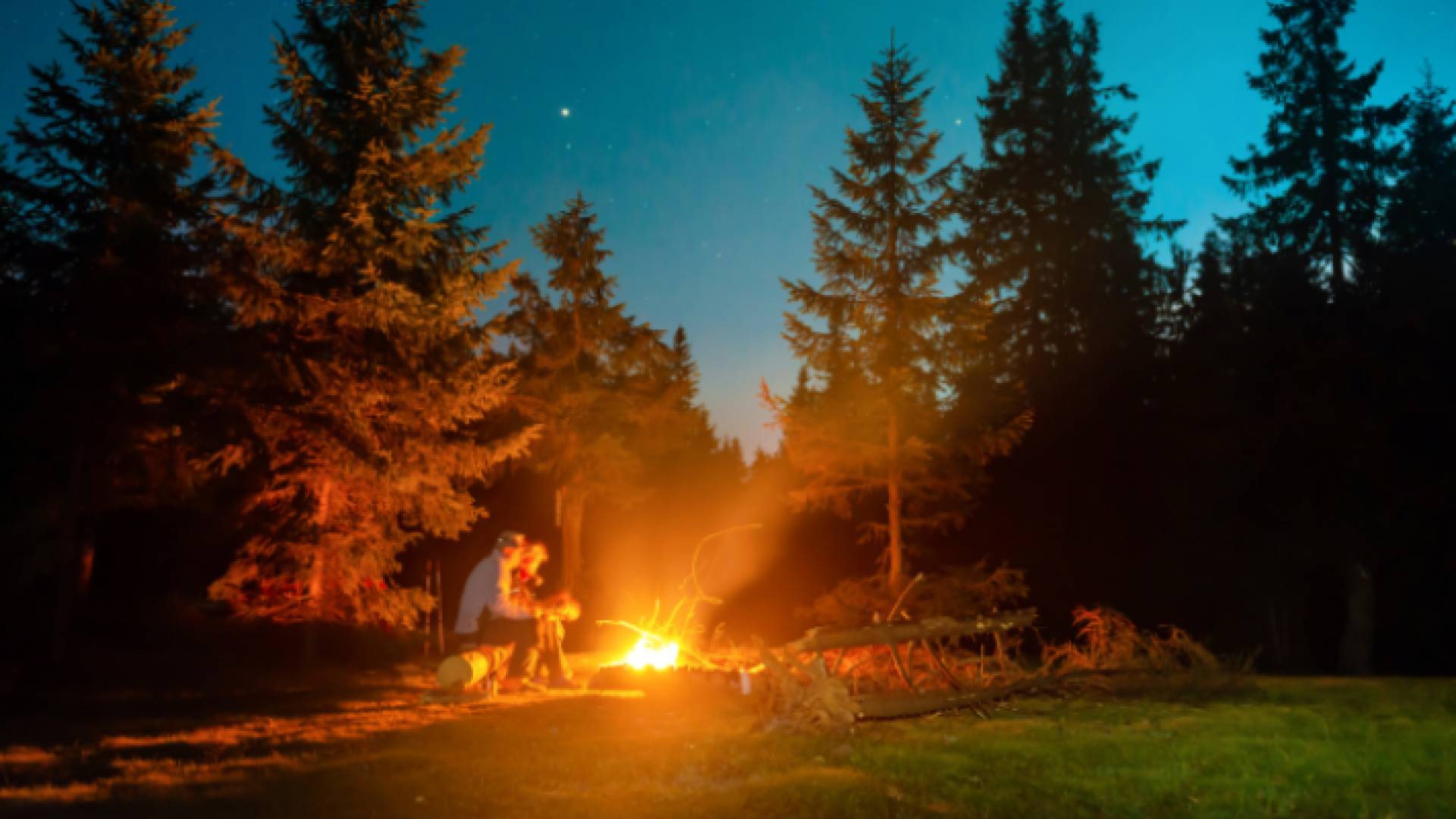 أشخاص يتنزهون