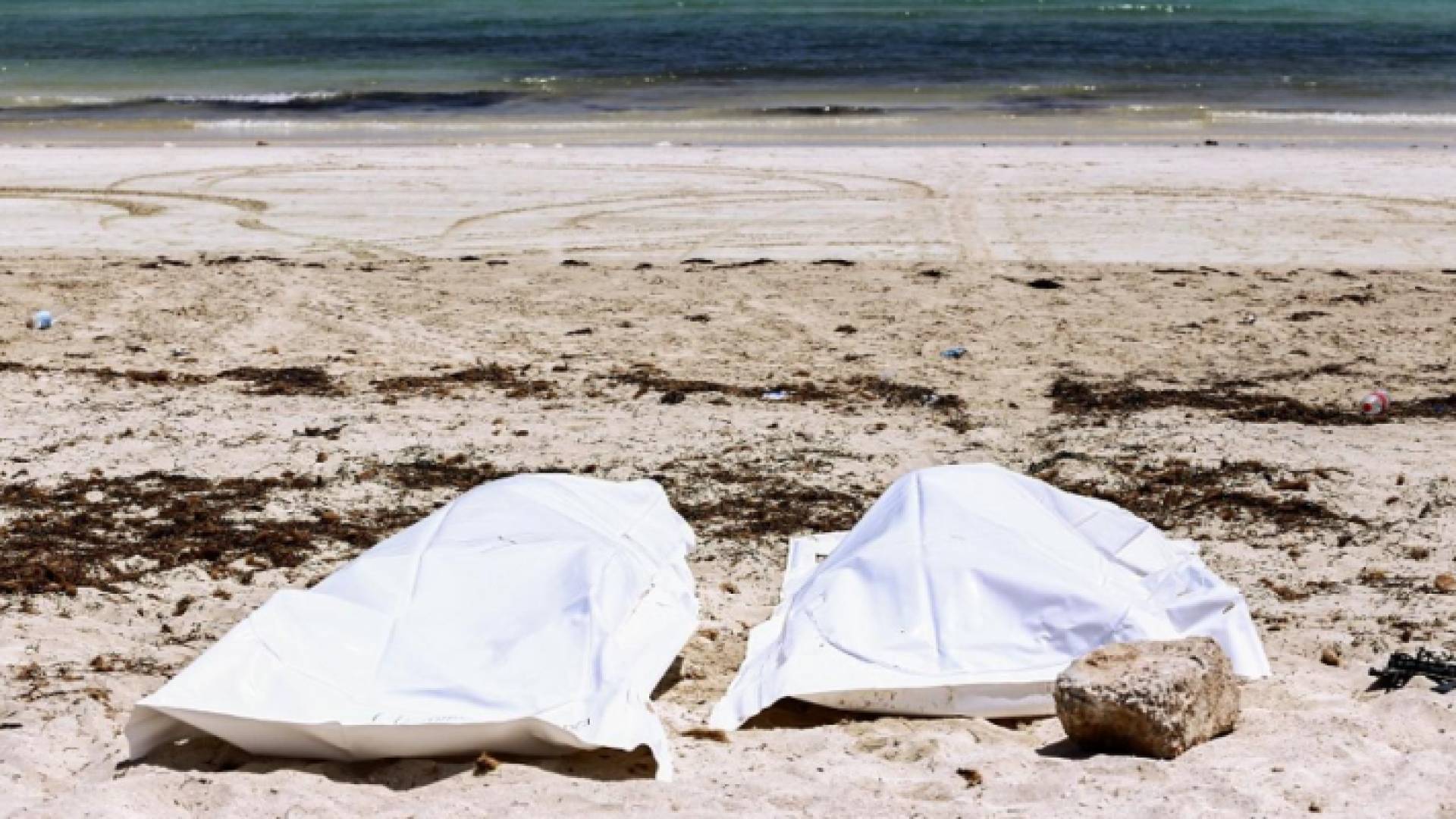 جثث هامدة على شاطئ "أرشيفية"