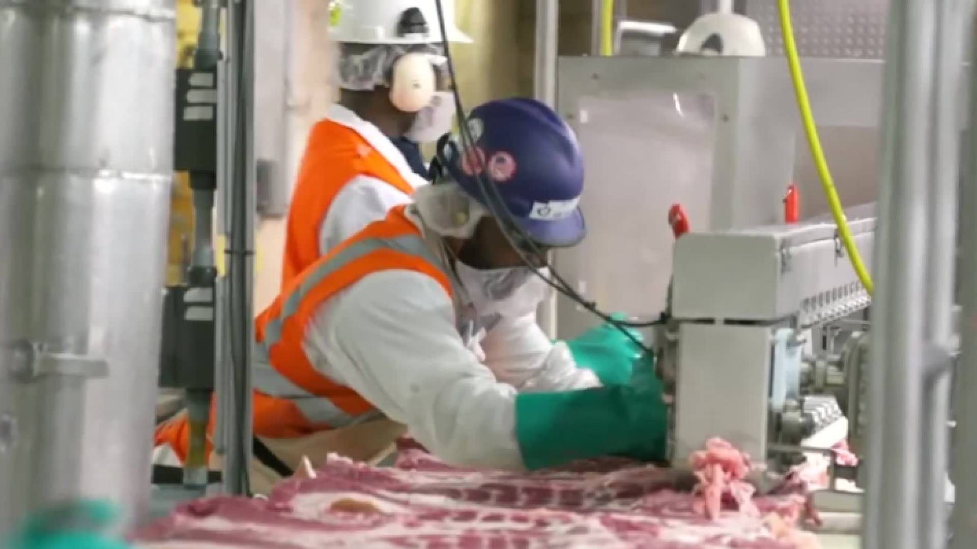 العمالة غير الأردنية