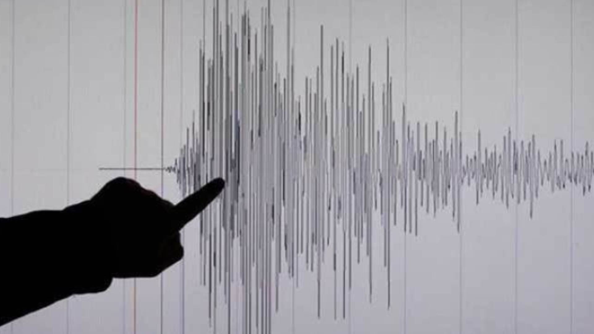 تسجيل زلزال أرضية