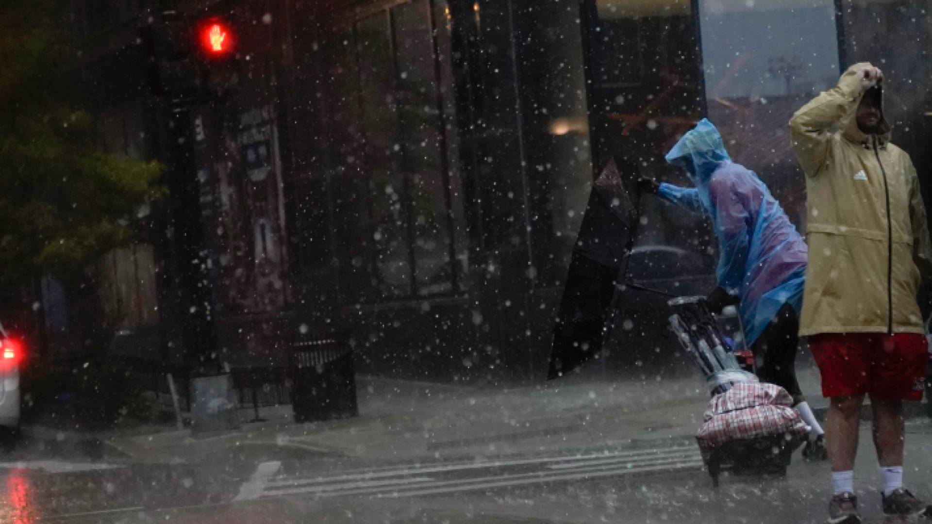 صورة لأحد الشوارع في الولايات المتحدة