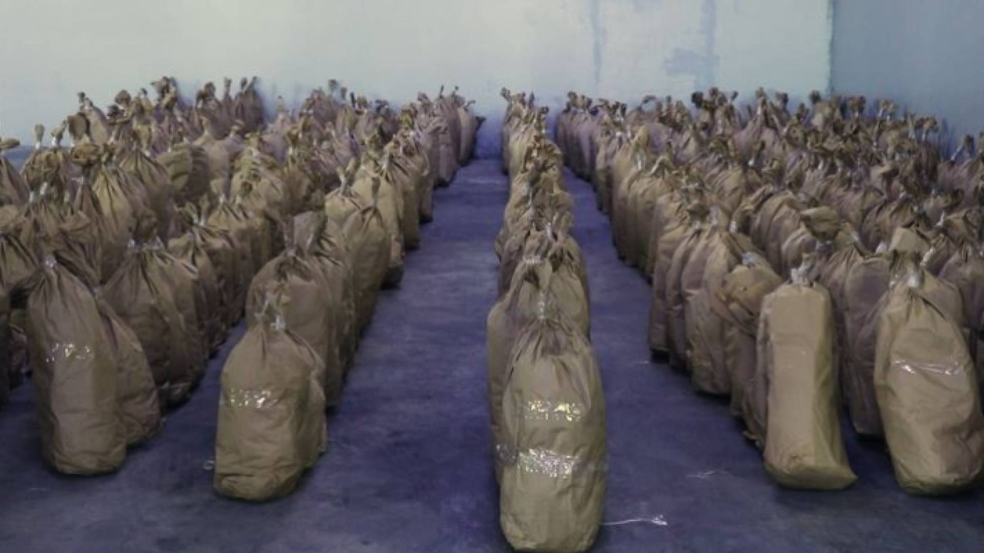 كمية من المواد المخدرة المضبوطة